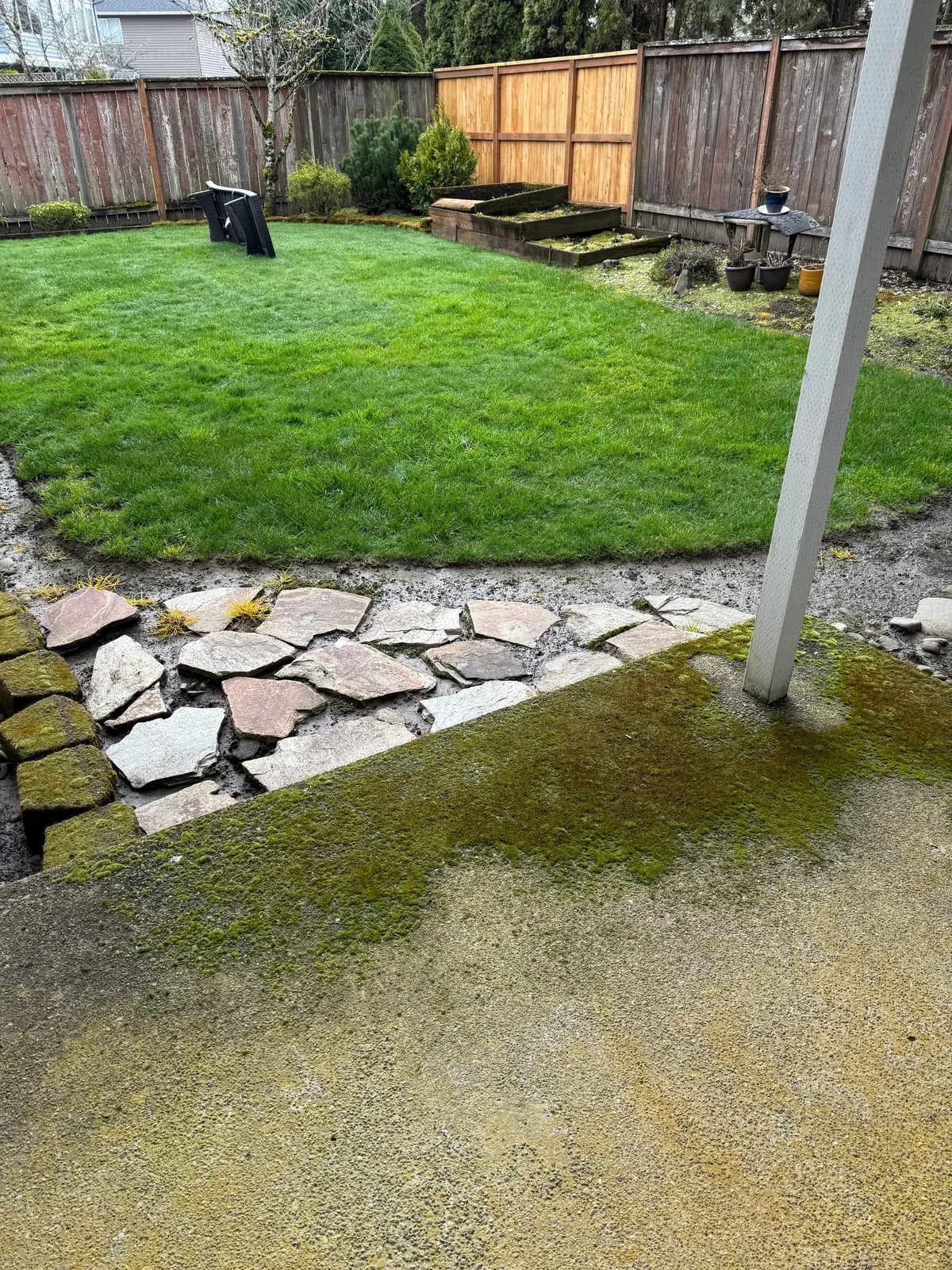 Patio edge with moss beside a backyard lawn before pressure washing in Hillsboro