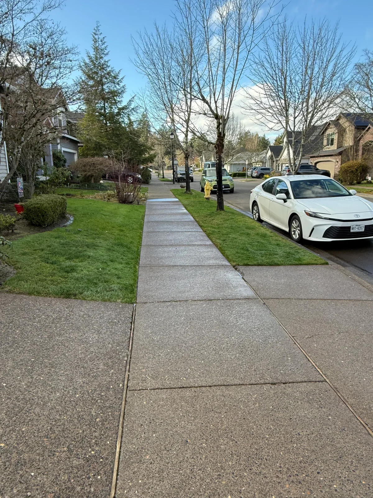 Clean Hillsboro sidewalk after pressure washing near a yellow fire hydrant