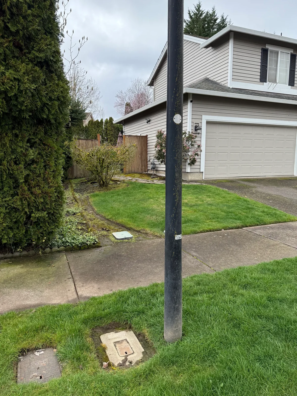 Sidewalk edge with moss before pressure washing at a Hillsboro HOA home