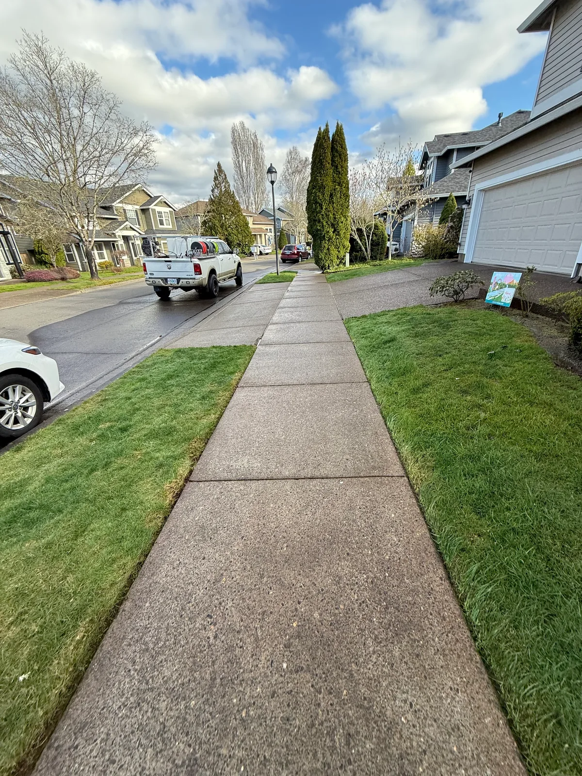 Clean walkway and sidewalk after pressure washing at a Hillsboro HOA property