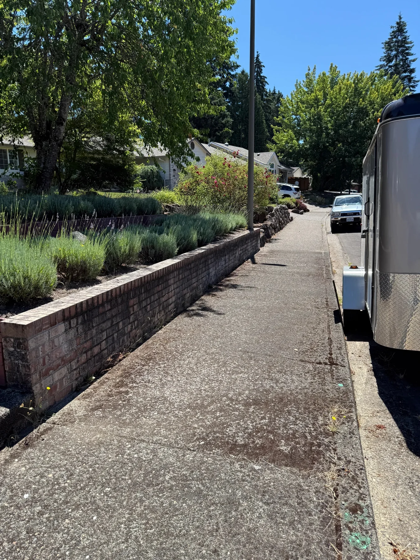 Brick retaining wall and sidewalk with black algae and organic buildup before cleaning in Hillsboro
