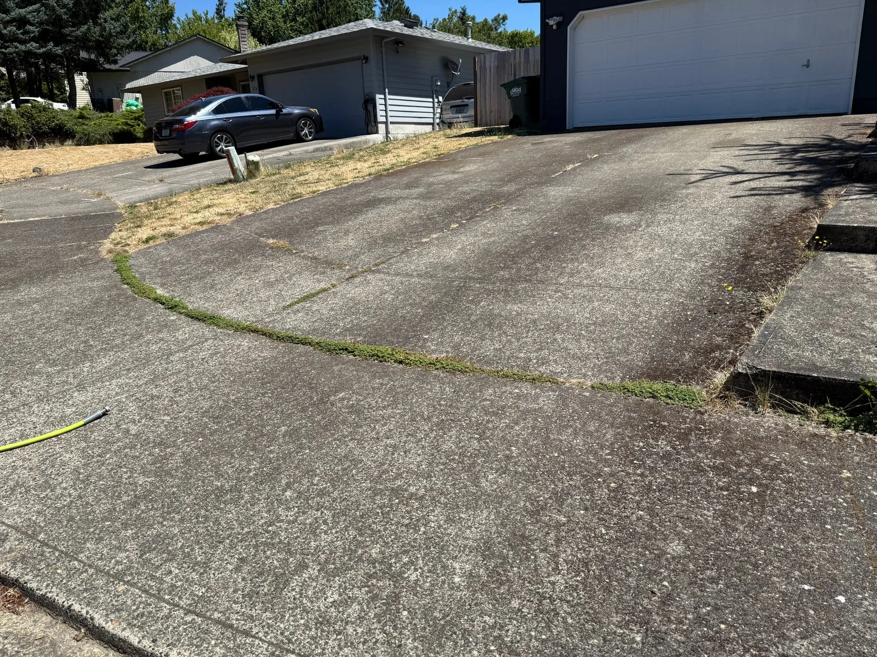 Hillsboro exposed-aggregate driveway with thick moss growing in curved control joints before cleaning