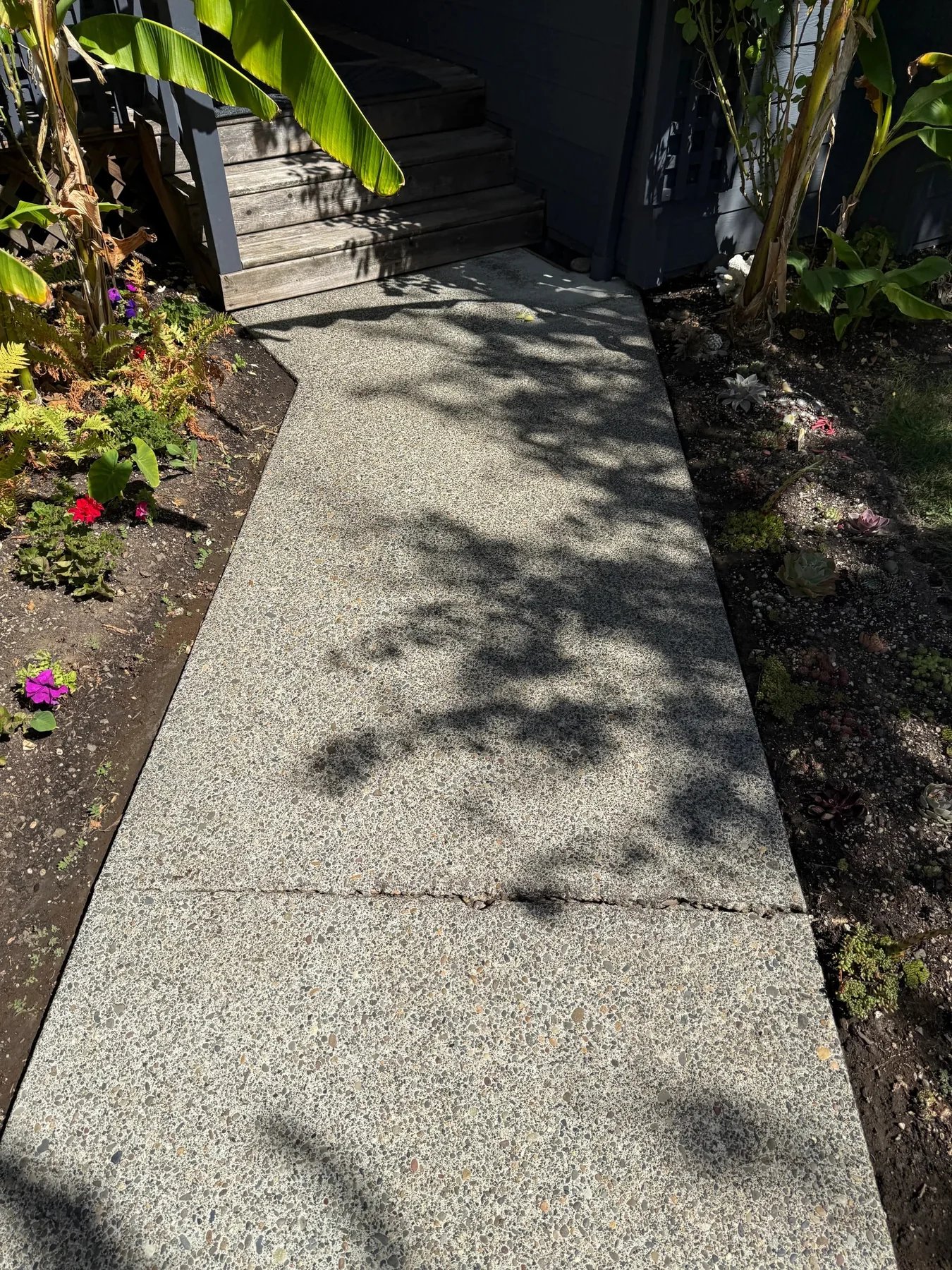 Clean exposed-aggregate front walkway after pressure washing between landscaped beds in Hillsboro