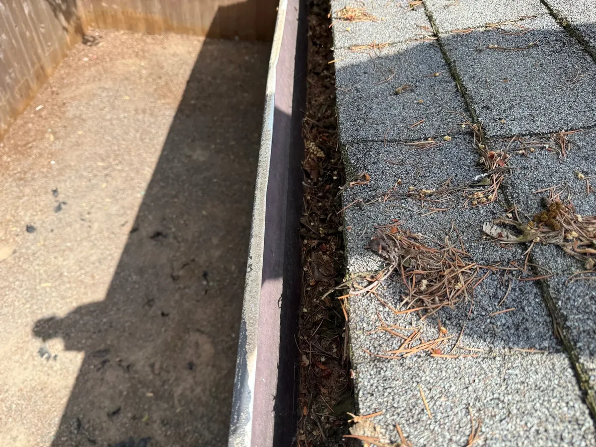 Roof and gutter edge holding needles and organic debris before Hillsboro roof cleaning