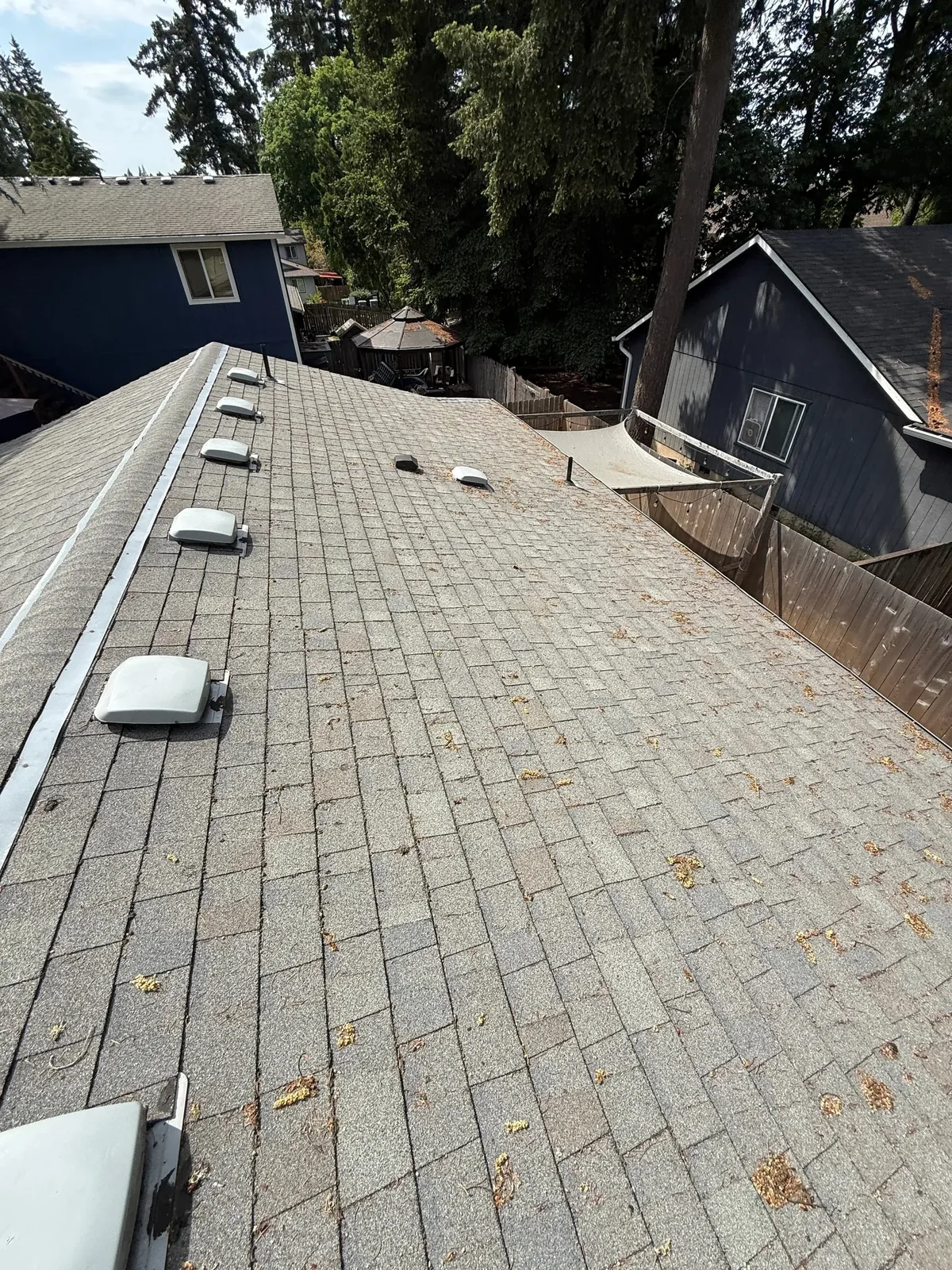 Tree debris scattered across a Hillsboro multifamily asphalt shingle roof before cleaning