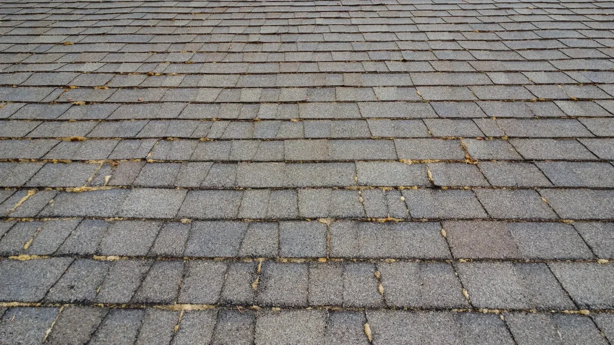 Asphalt shingle keyways after heavier moss was cleaned from a Hillsboro multifamily roof