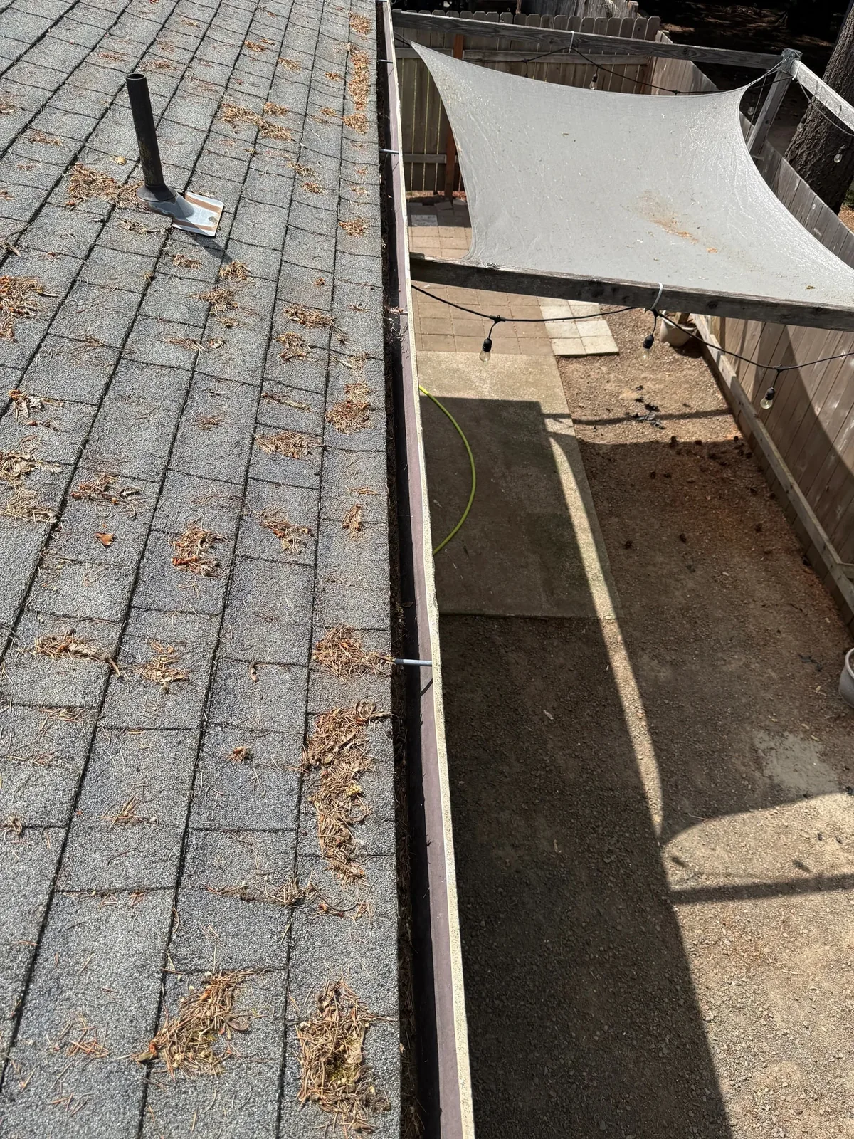 Pine needles and small debris collected in roof shingle courses near an overhanging tree in Hillsboro