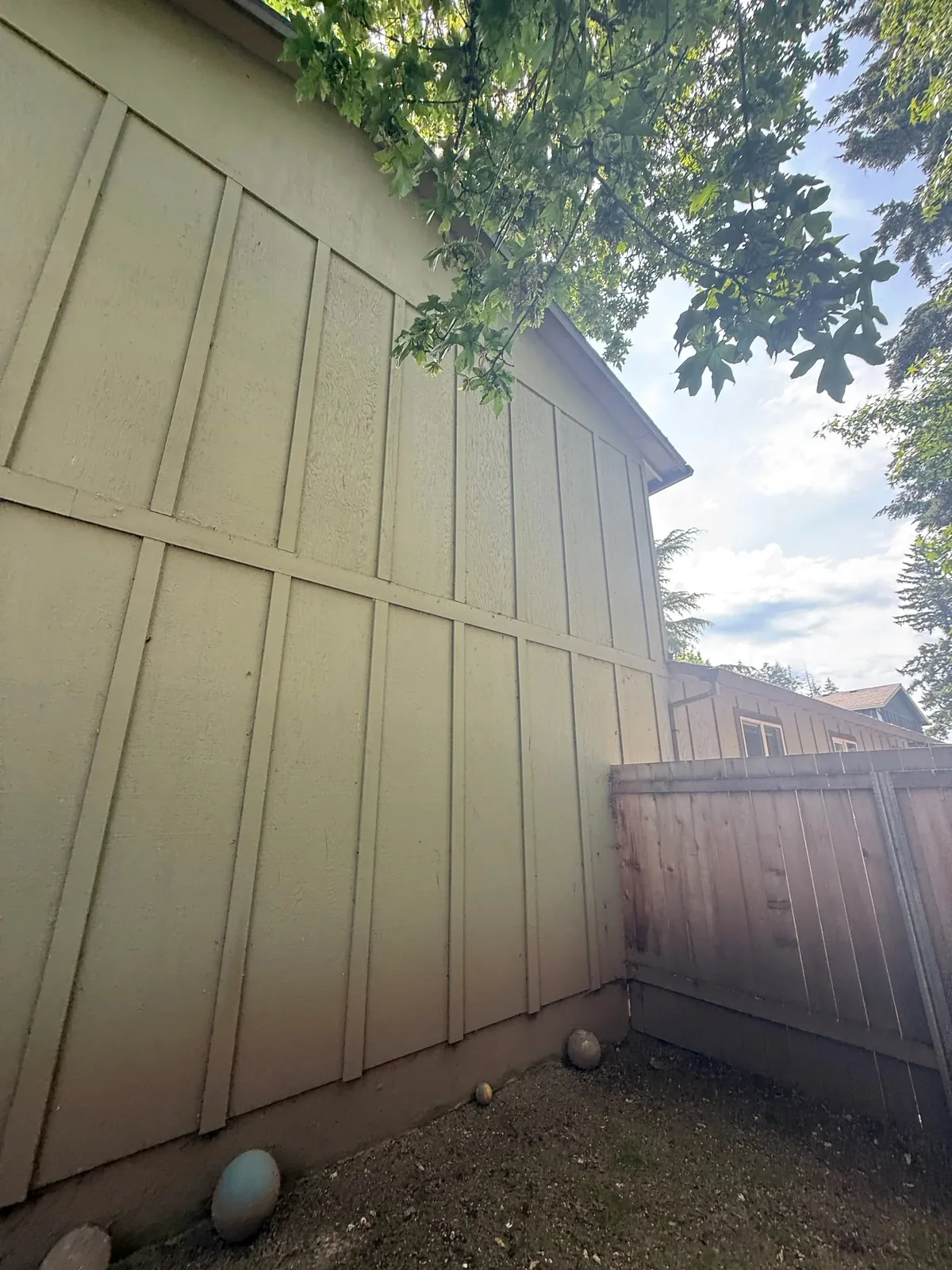 Clean painted siding beneath overhanging tree branches after a Hillsboro multifamily soft wash