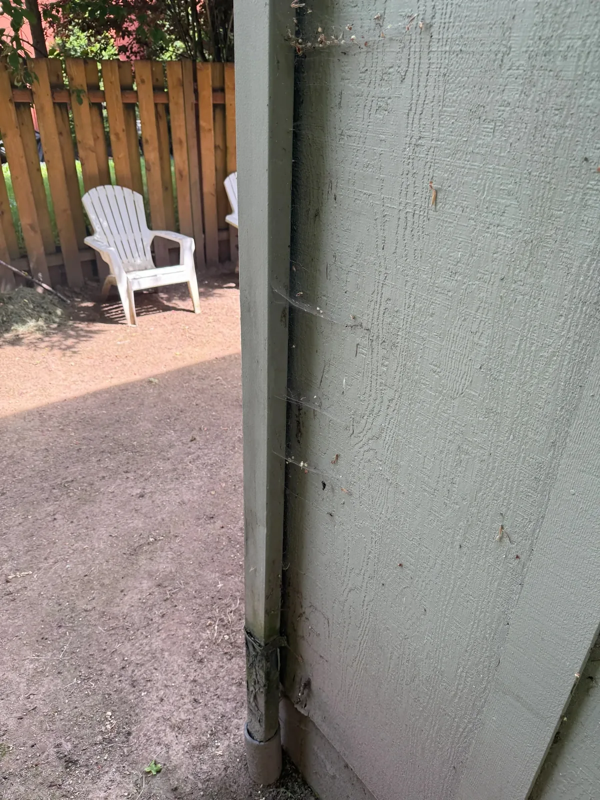 Bugs, webs, and dark organic buildup on Hillsboro multifamily siding before soft washing