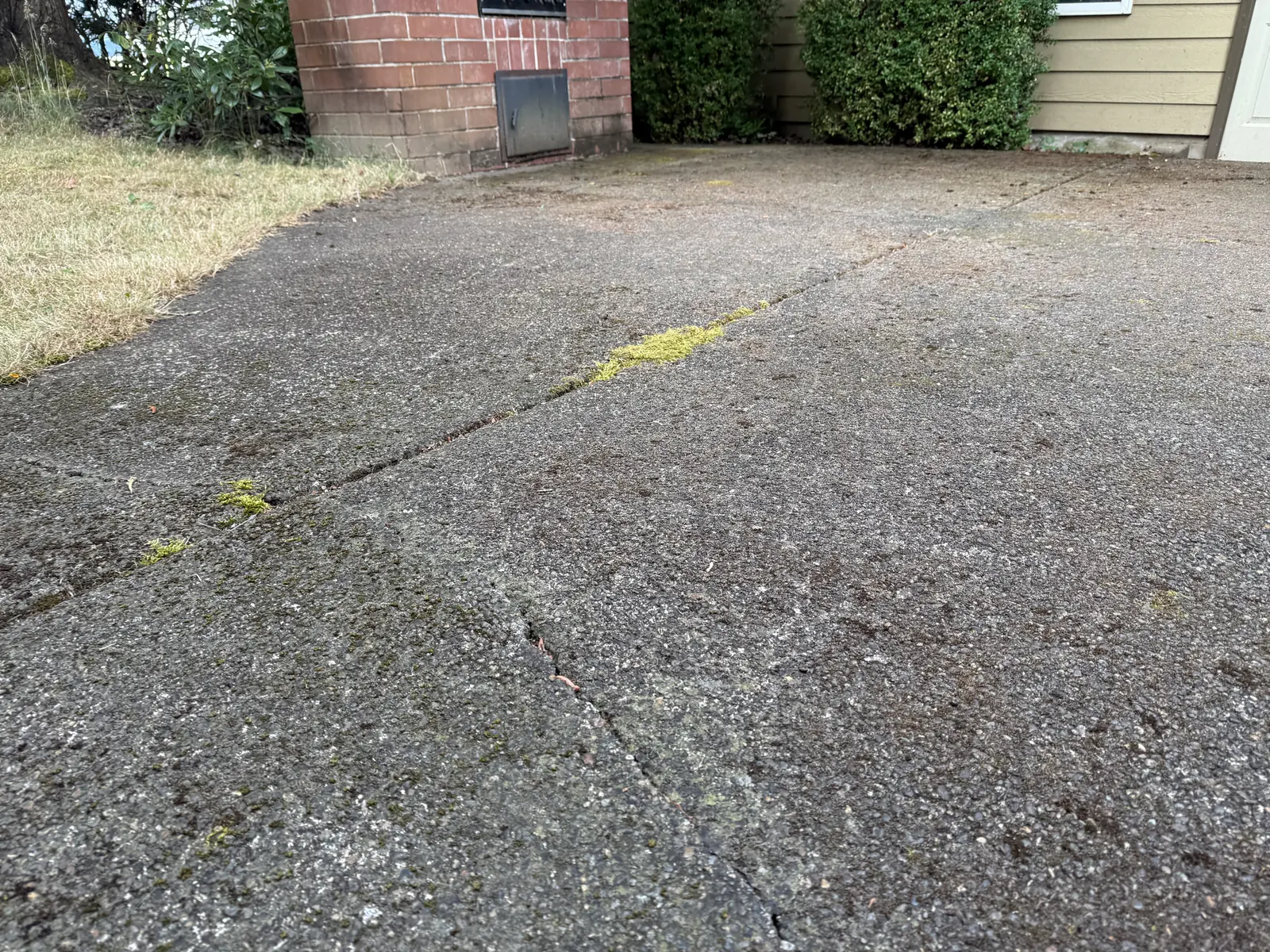 Heavy moss growing in cracks across a Hillsboro concrete patio before cleaning