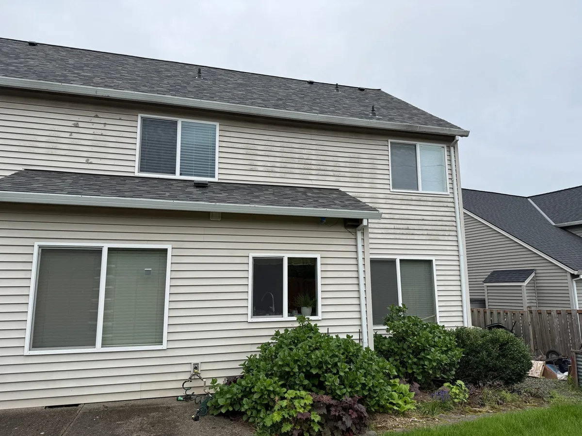 Green algae on vinyl siding before soft washing in Oregon