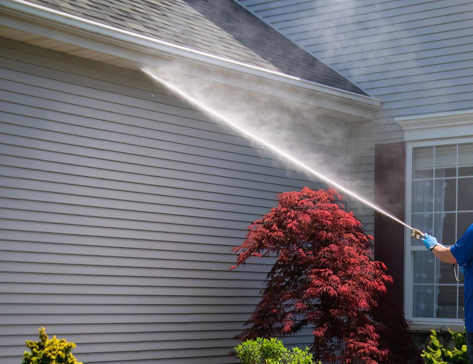 soft washing siding with algae and mildew buildup in Forest Grove soft washing siding with algae and mildew buildup in Forest Grove