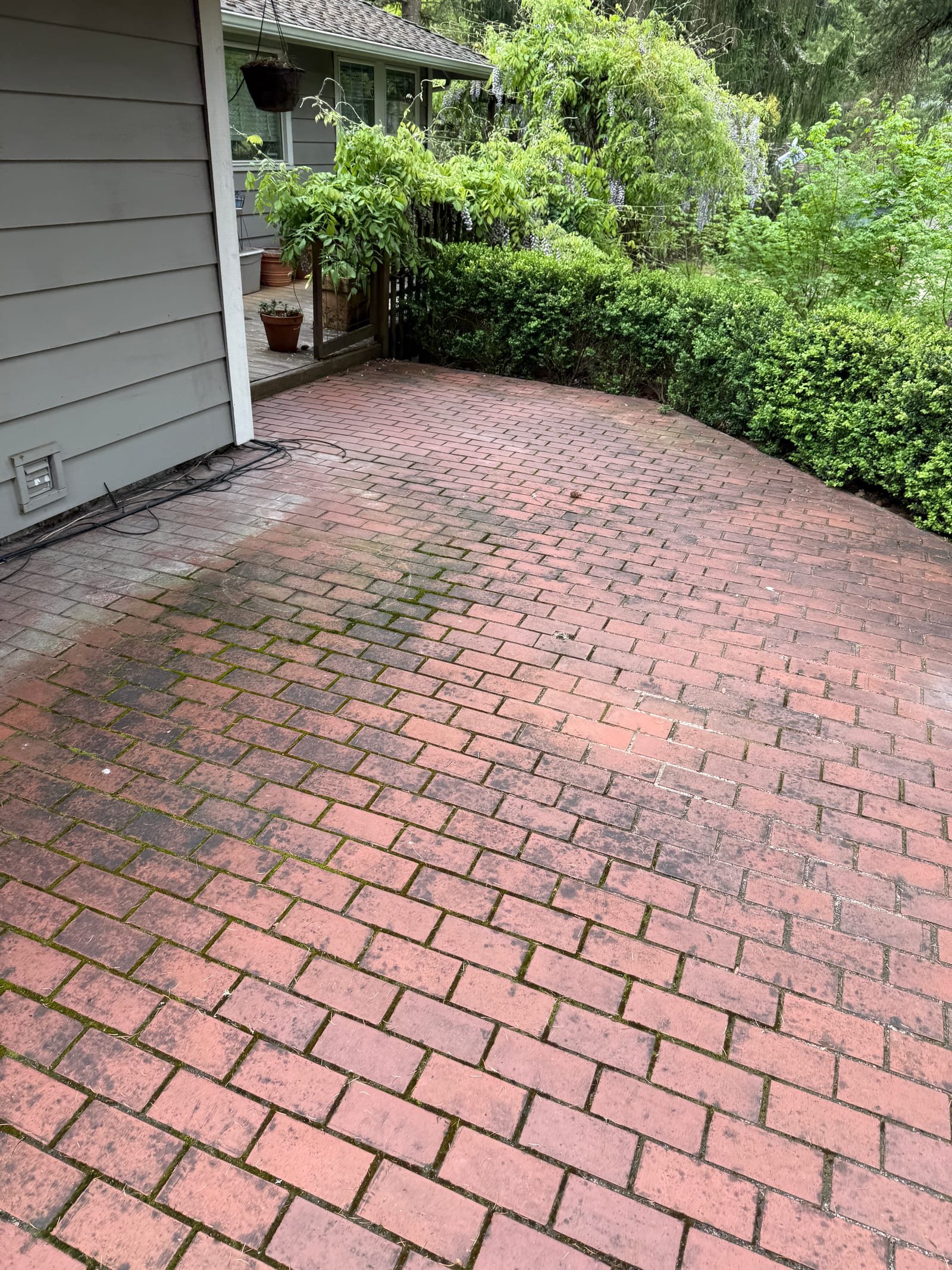 Brick patio before cleaning with dirt and moss