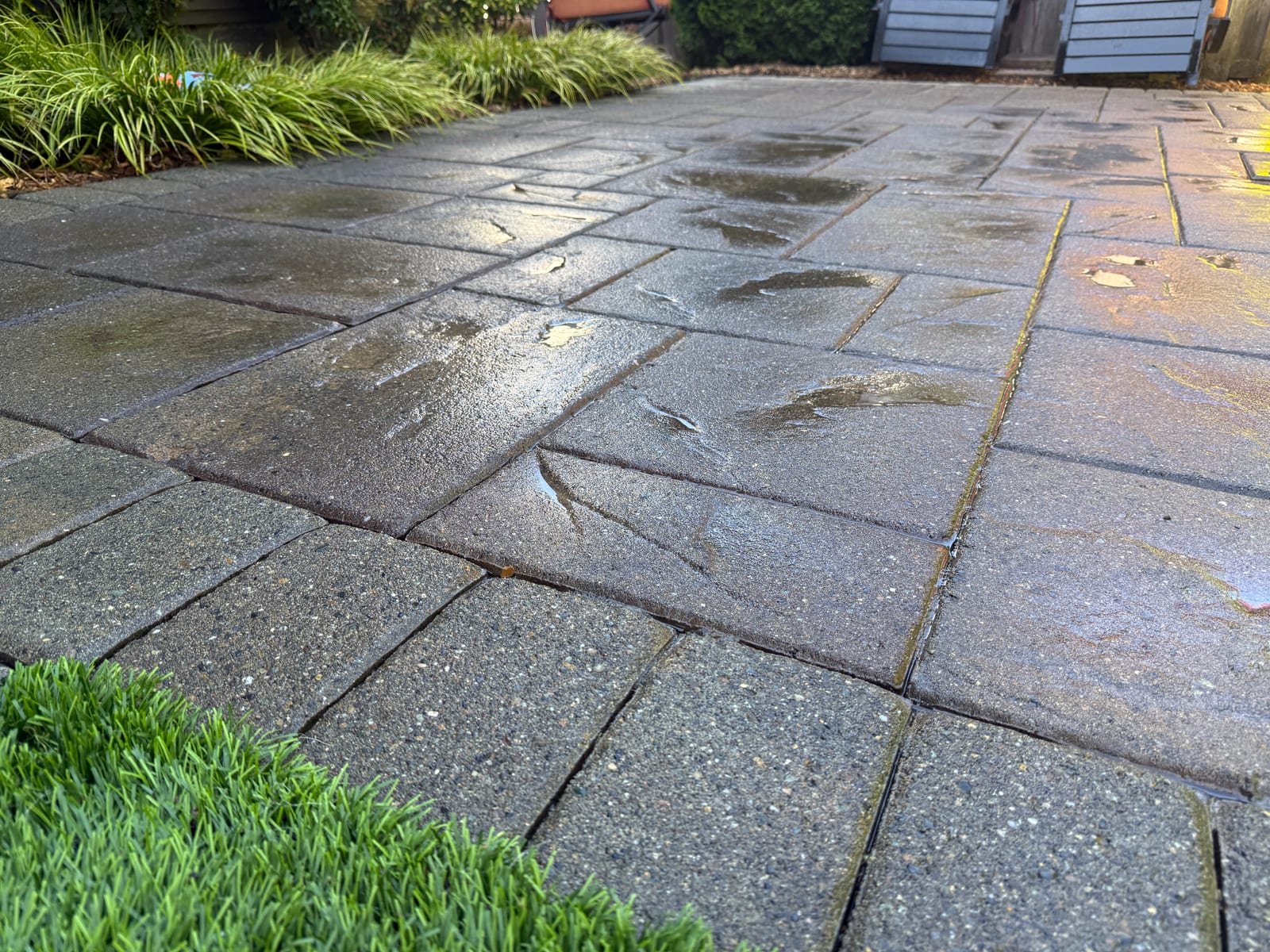 Paver patio after cleaning