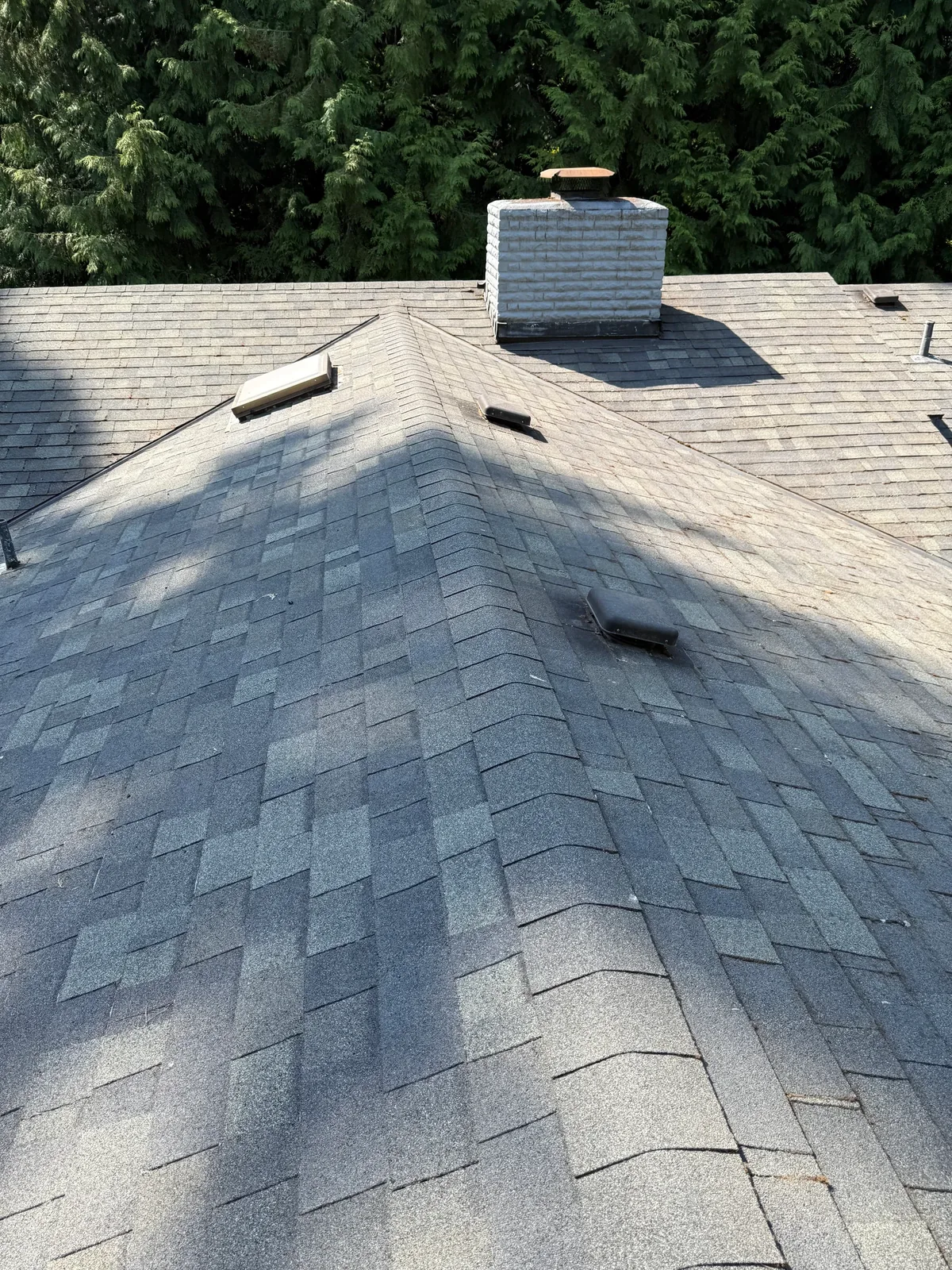 Clean asphalt shingle roof planes after heavy moss removal on a Portland home