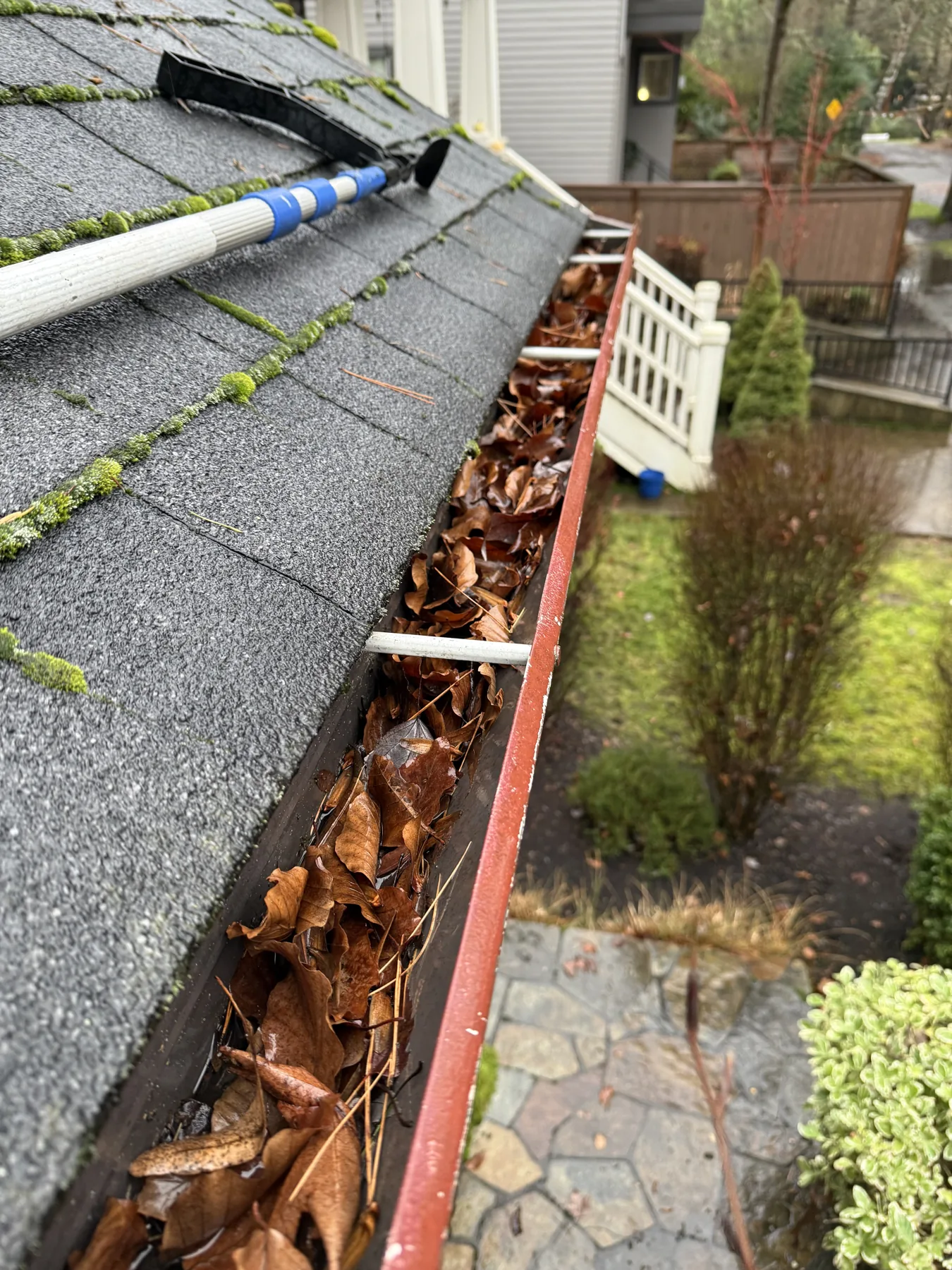 Portland gutter full of pine needles and leaves before gutter cleaning