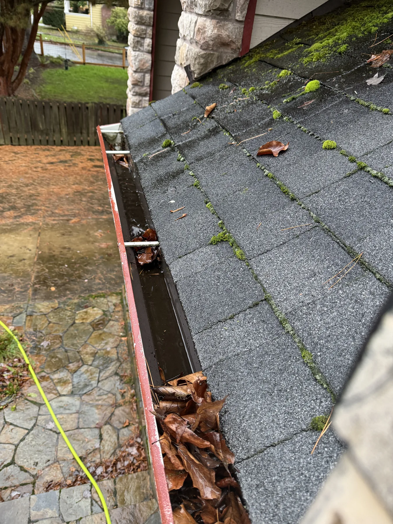 Roof edge and gutter debris from overhead trees on a Portland roof
