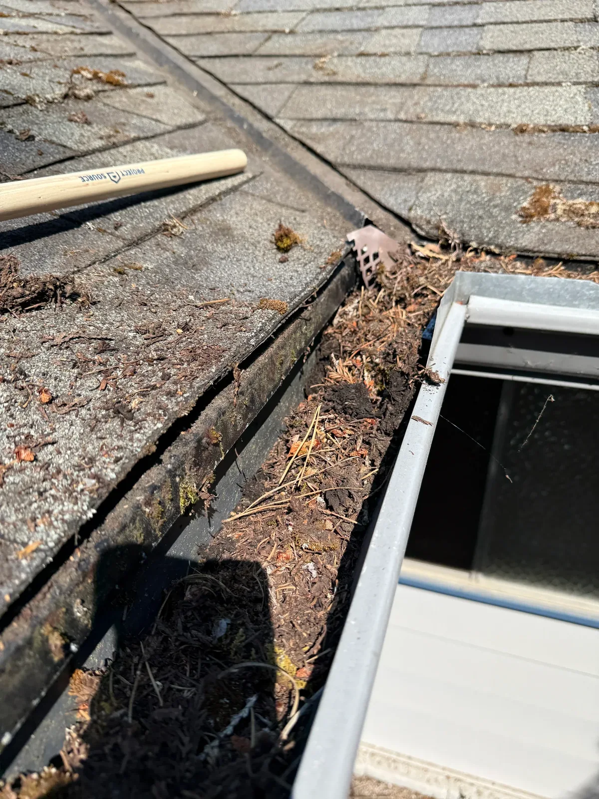 Gutter guard section opened for debris cleaning beside a mossy Portland roof edge