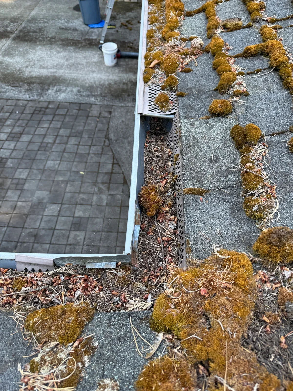 Heavy moss and tree debris beside a guarded gutter on a Portland roof