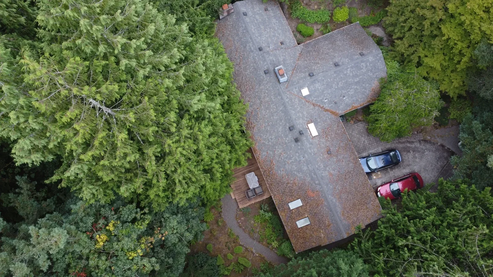 Portland asphalt shingle roof with heavy moss beneath dense tree cover before cleaning
