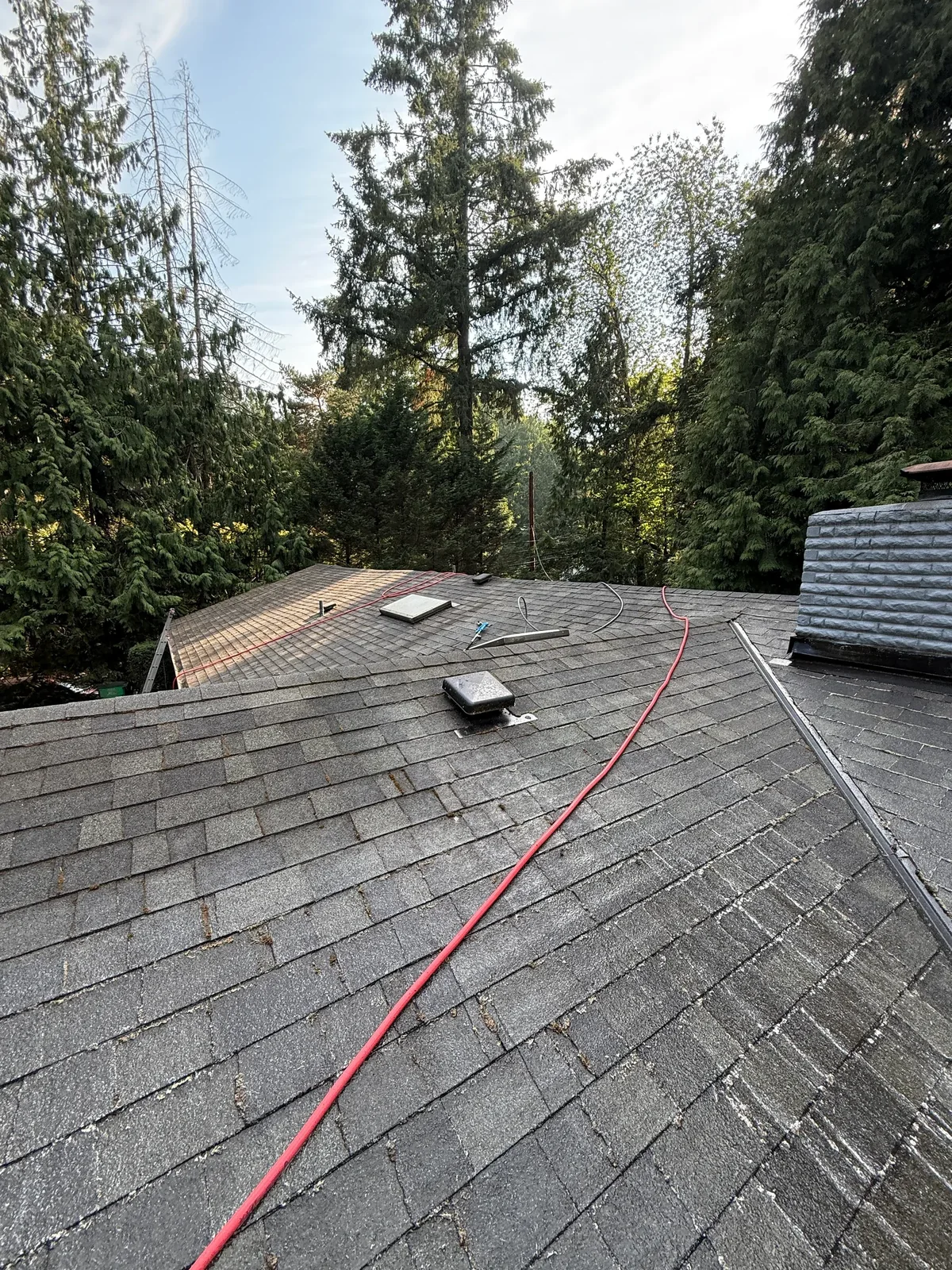 Liquid moss treatment hose across a cleaned asphalt shingle roof in Portland