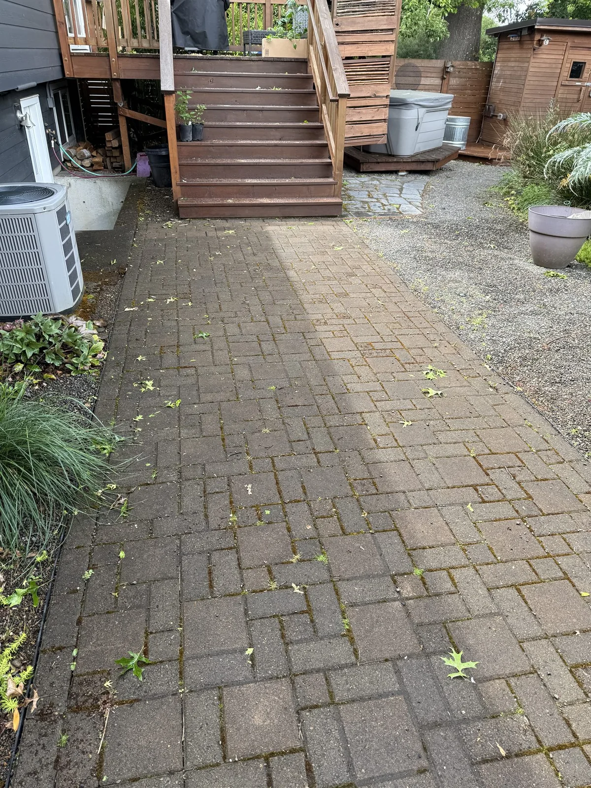 Moss in Portland patio paver joints before cleaning