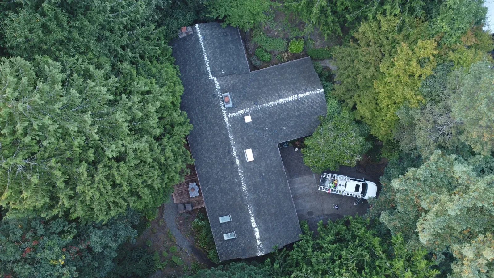 Overhead drone view of the finished Portland roof and surrounding tree canopy