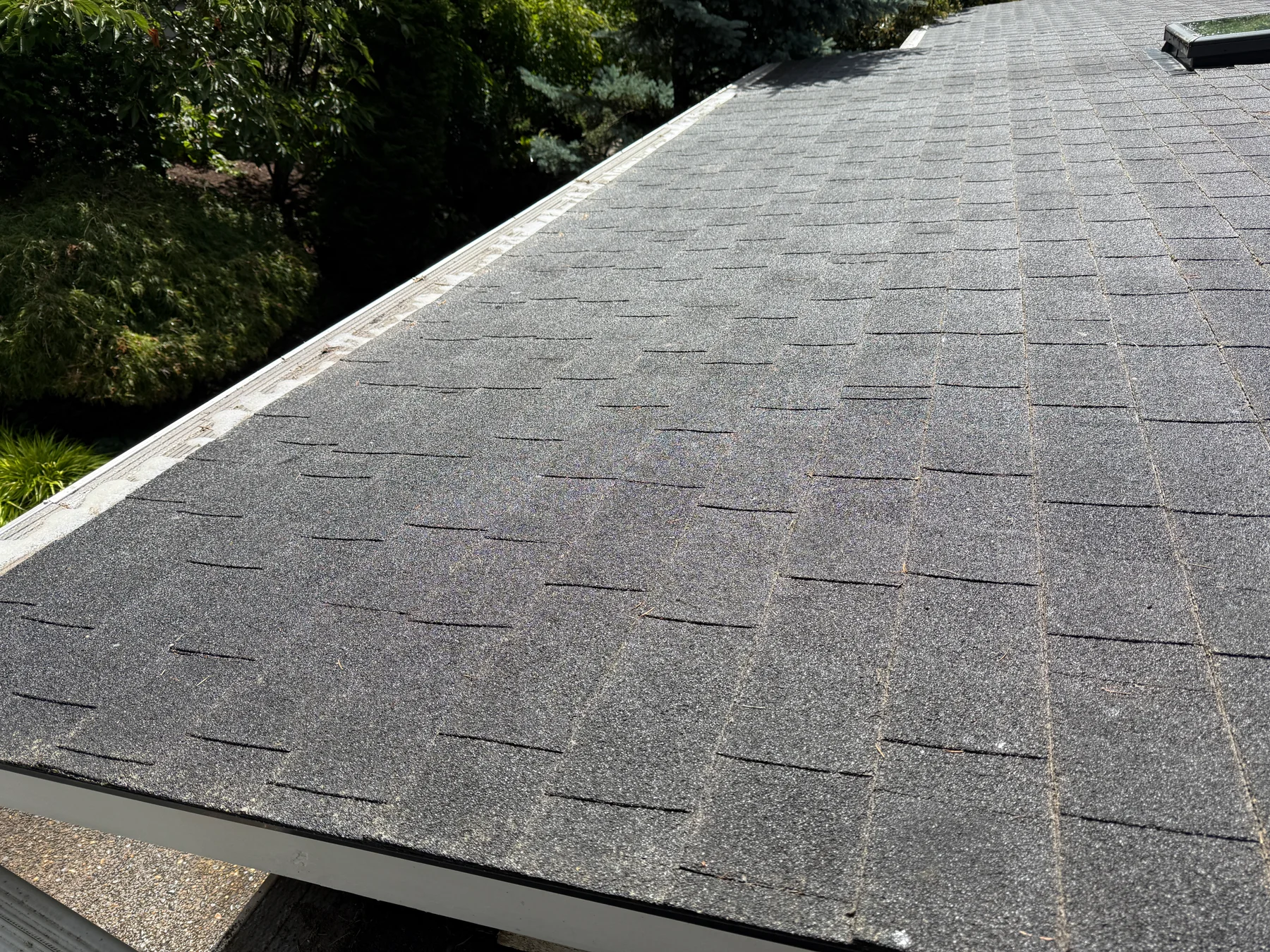 Treated asphalt roof plane in Portland with surrounding tree cover