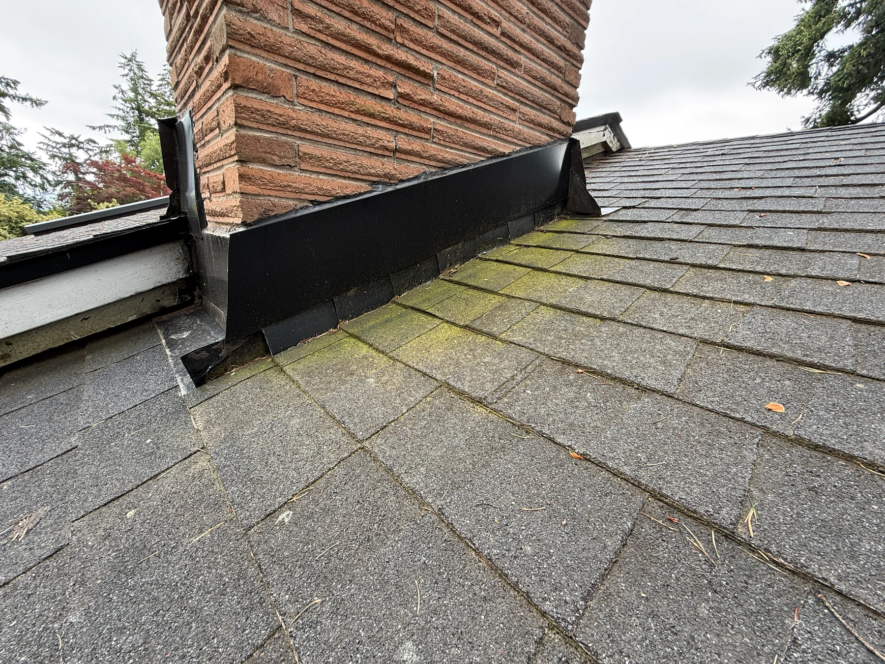 Green moss beginning to grow on asphalt shingles beside a brick chimney in Portland
