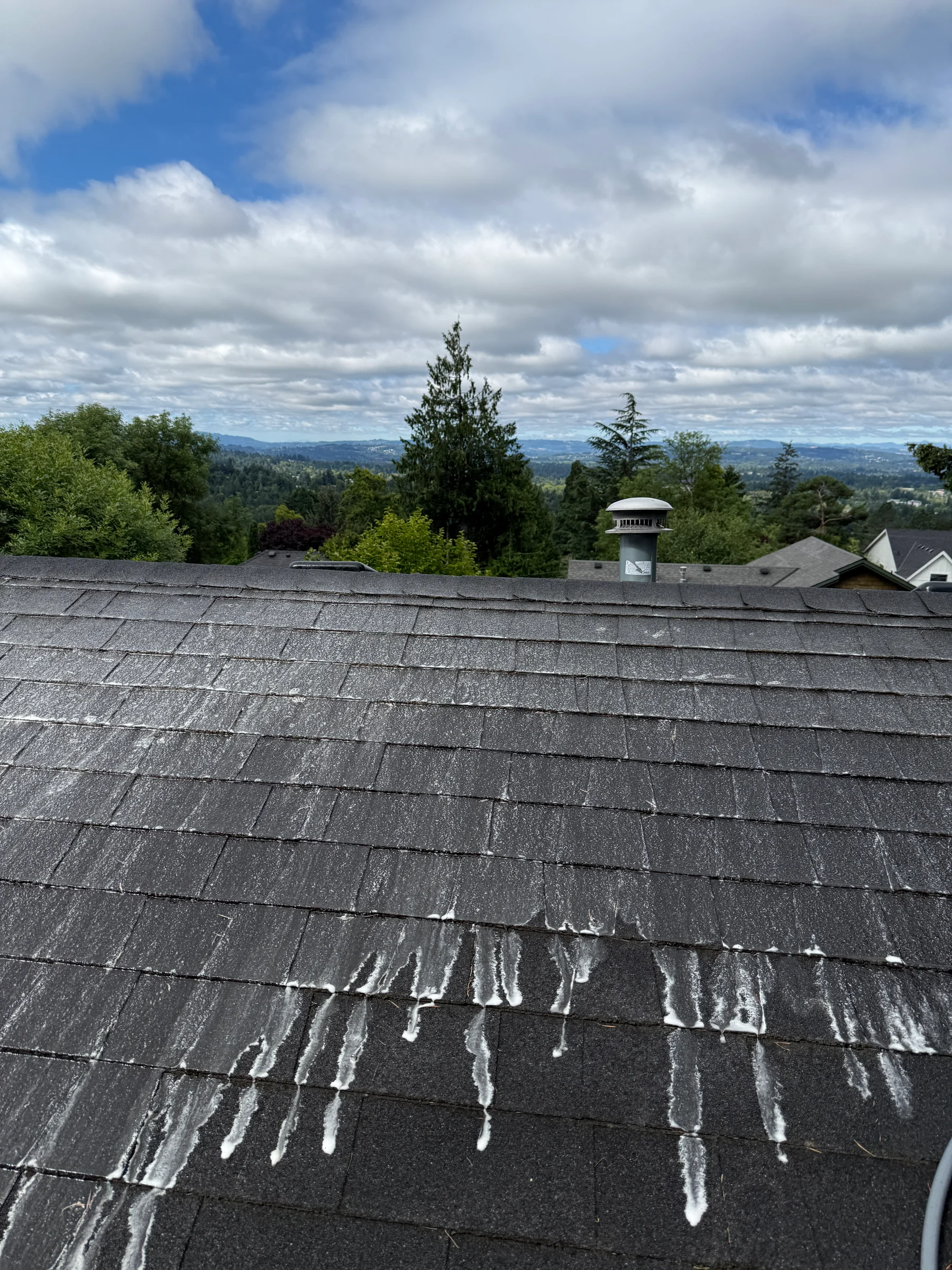 Liquid roof moss treatment running over Portland asphalt shingles with a hillside view beyond