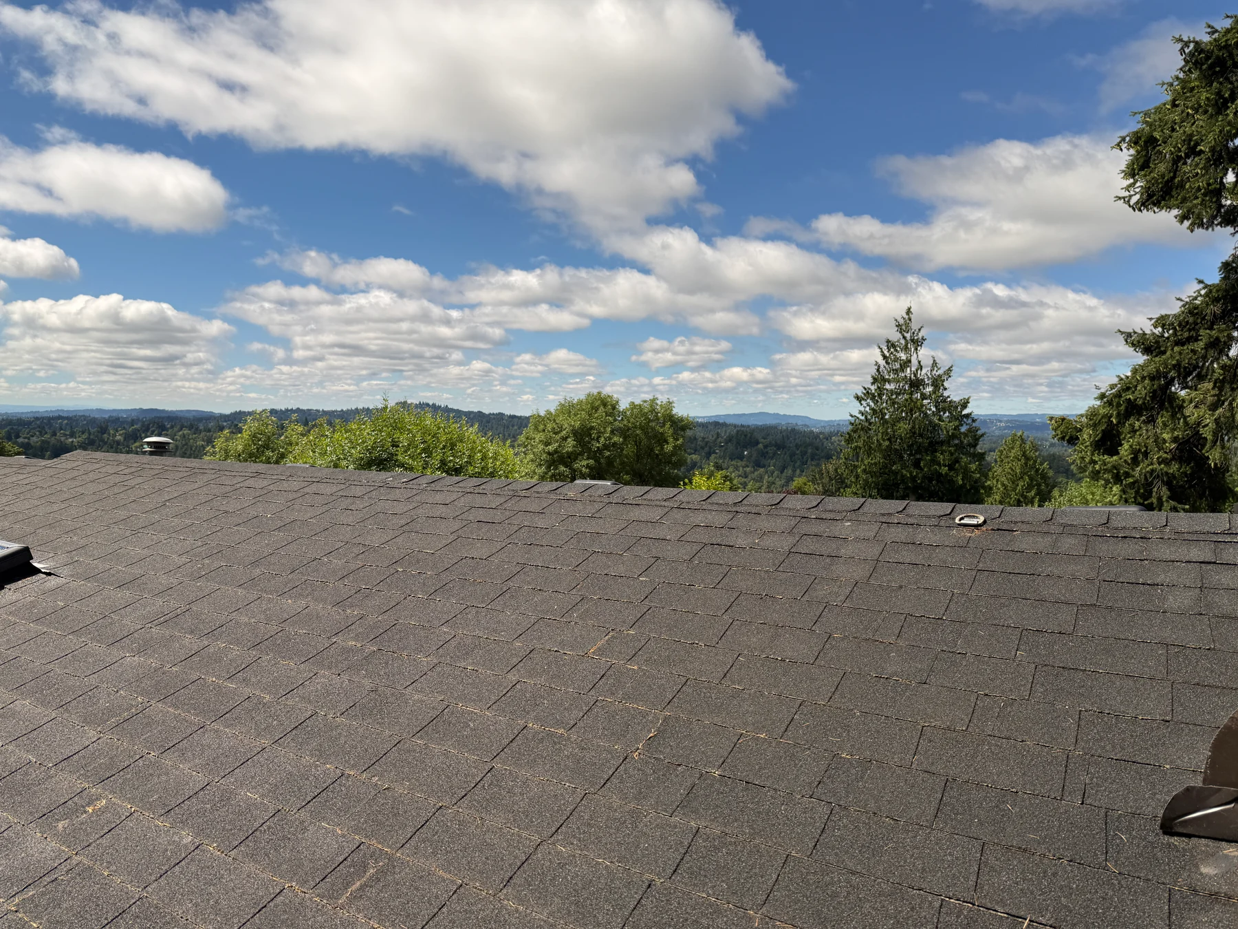 Treated asphalt roof overlooking tree-covered hills in Southwest Portland