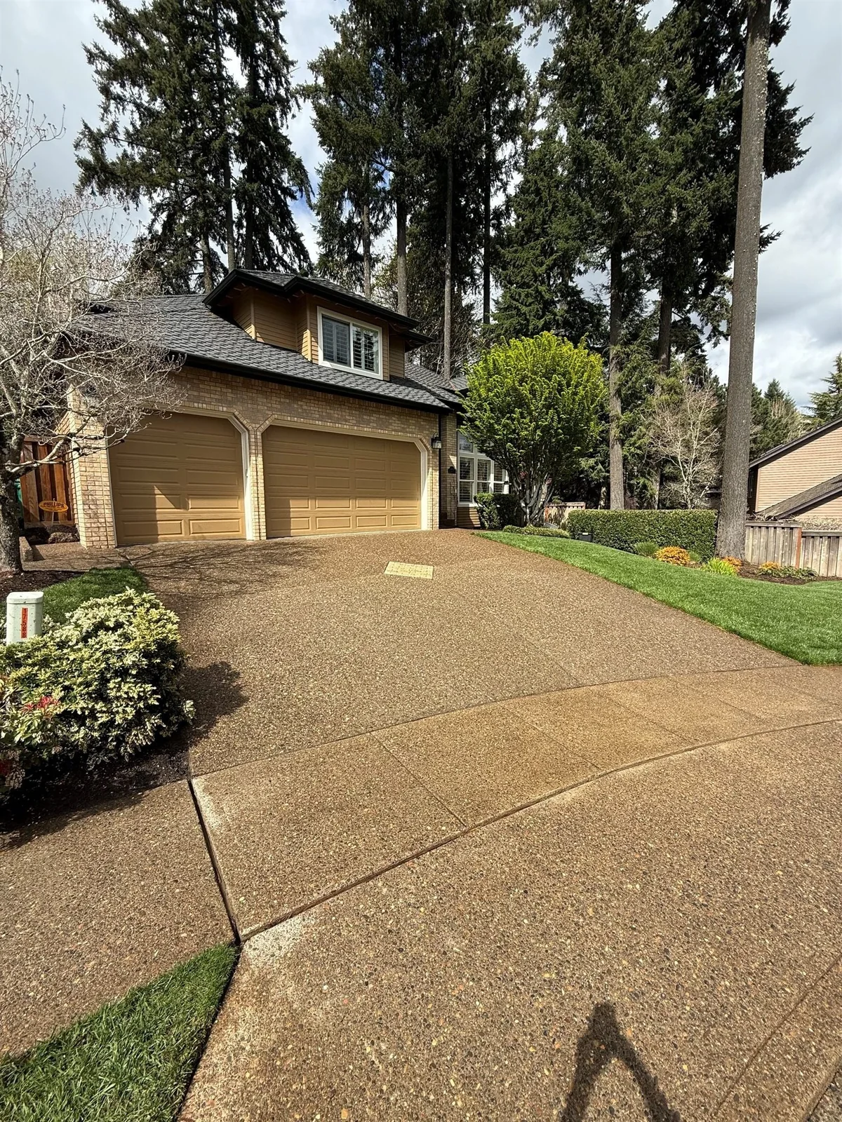 pressure washing clean line through moss and algae on exposed aggregate concrete in Beaverton Oregon