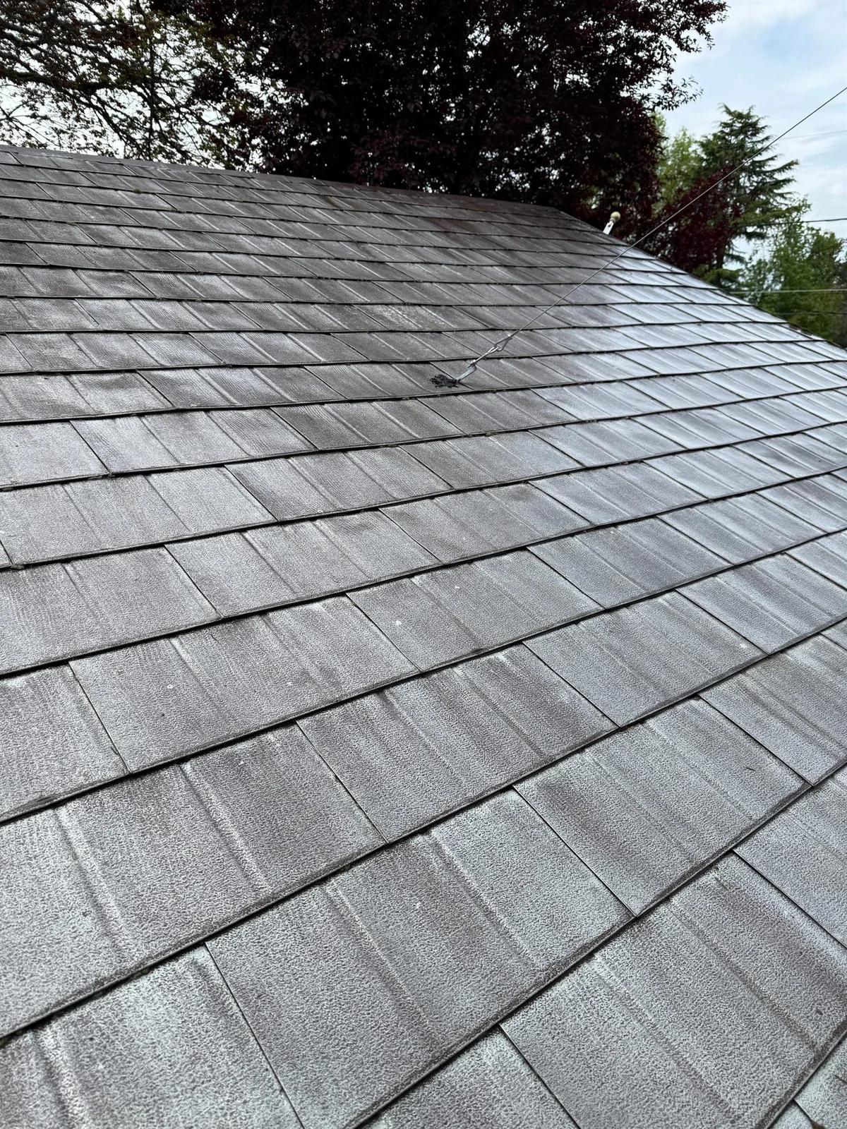 asphalt roof after cleaning and treatment for moss in Beaverton Oregon