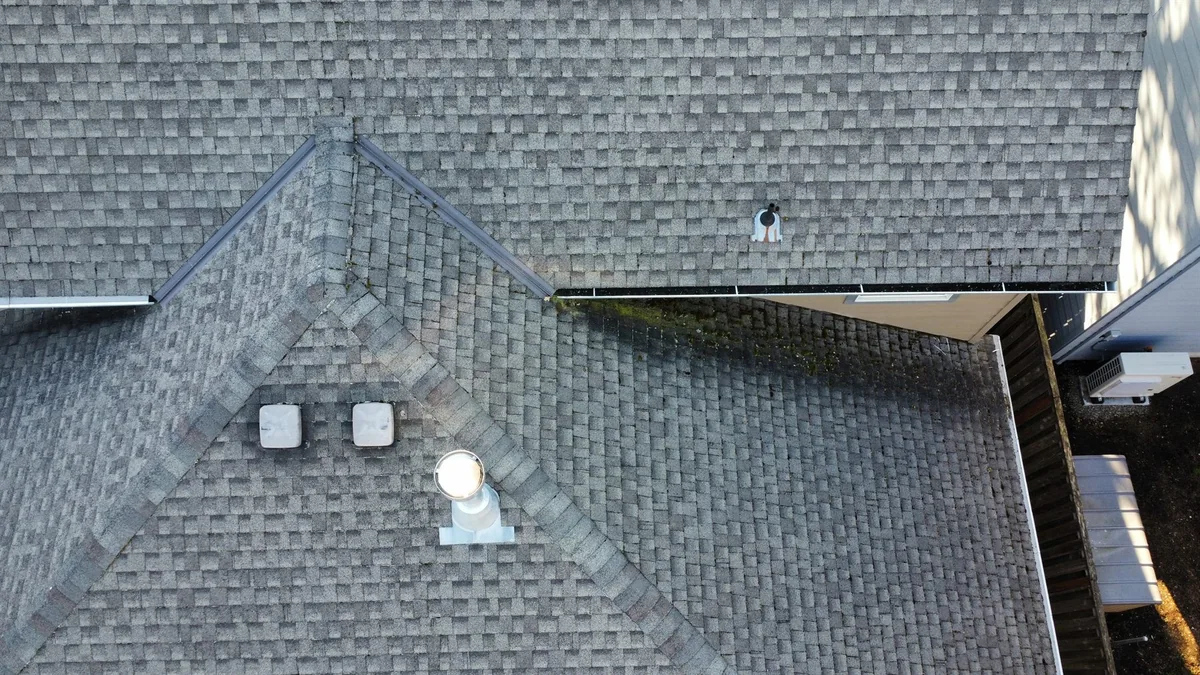 Residential asphalt roof showing sections that need different moss-care decisions