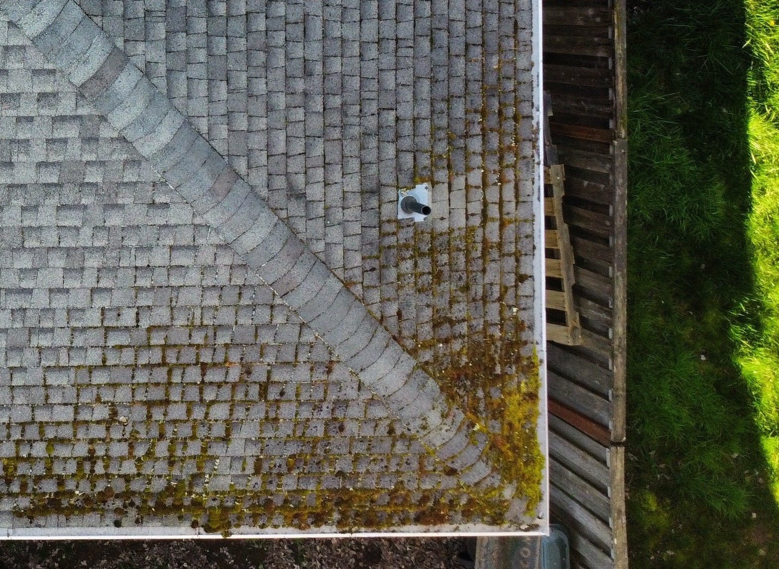 Heavy moss on asphalt roof shingles that should be manually removed before roof treatment