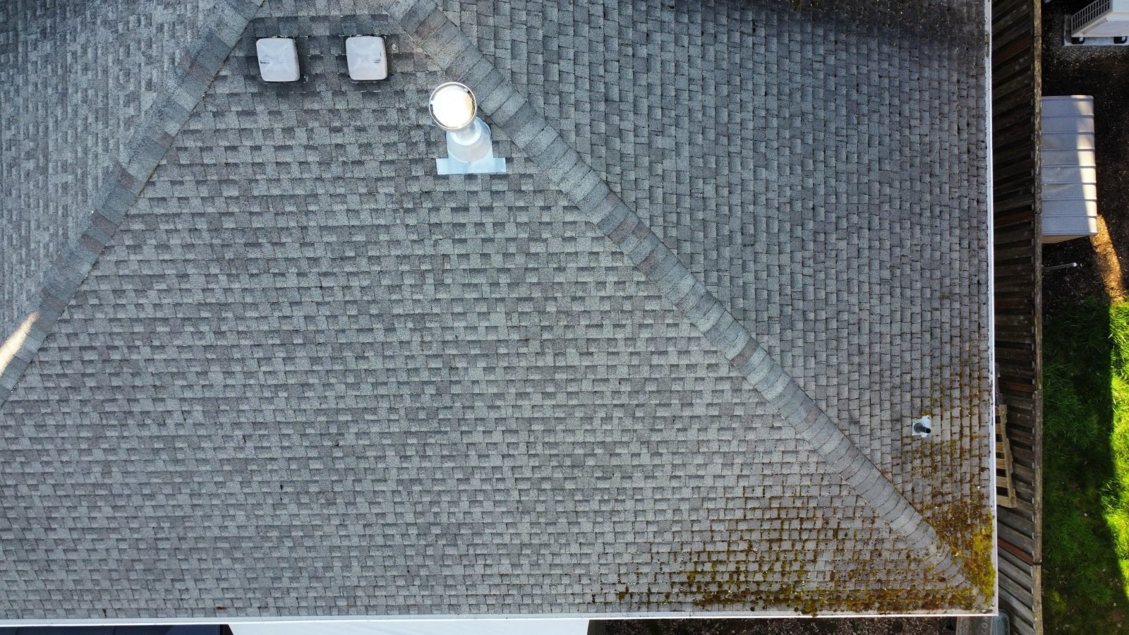 Close up of moss growth on Oregon roof shingles before cleaning or roof moss treatment