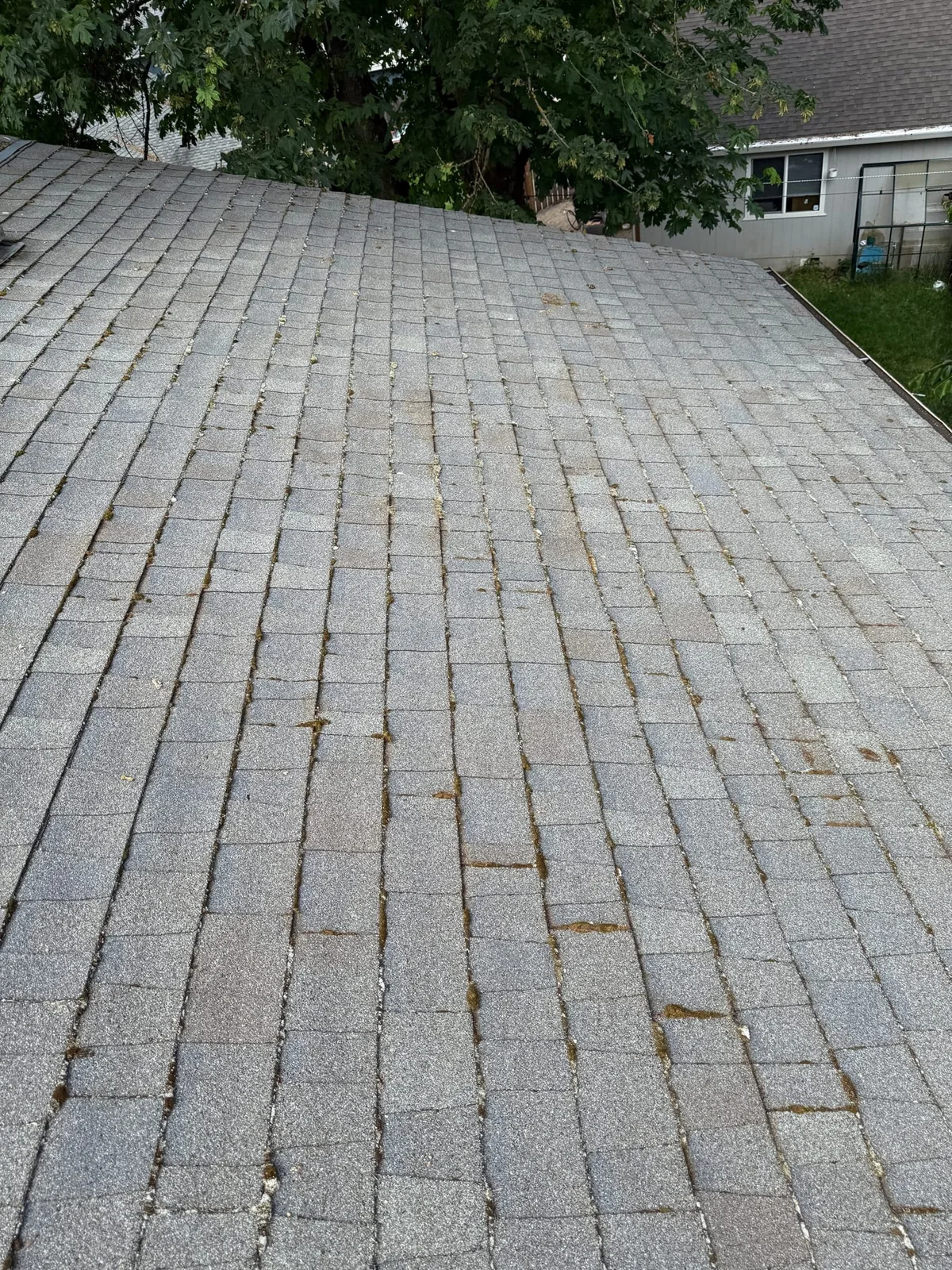 Roof before moss treatment for listing preparation