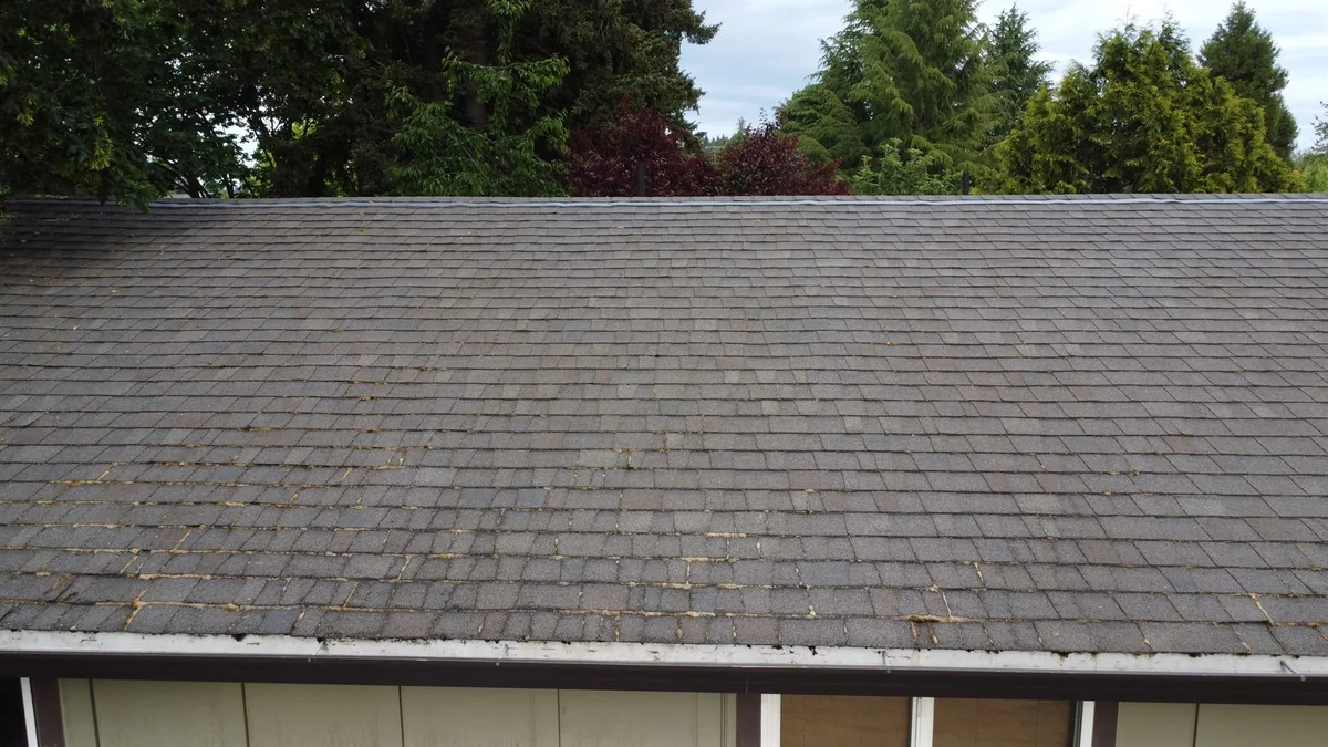 Light moss on roof shingles that may be a good candidate for maintenance roof moss treatment