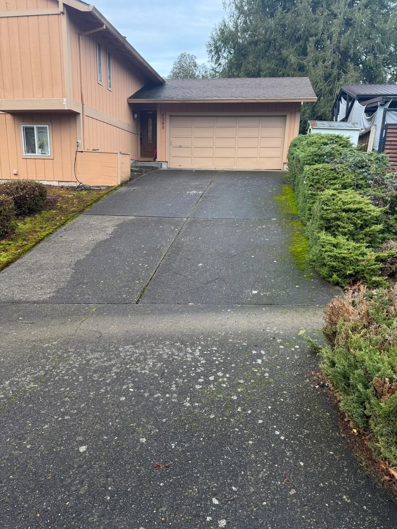 South Beaverton exposed aggregate driveway before cleaning with moss along hedge edges and dark concrete