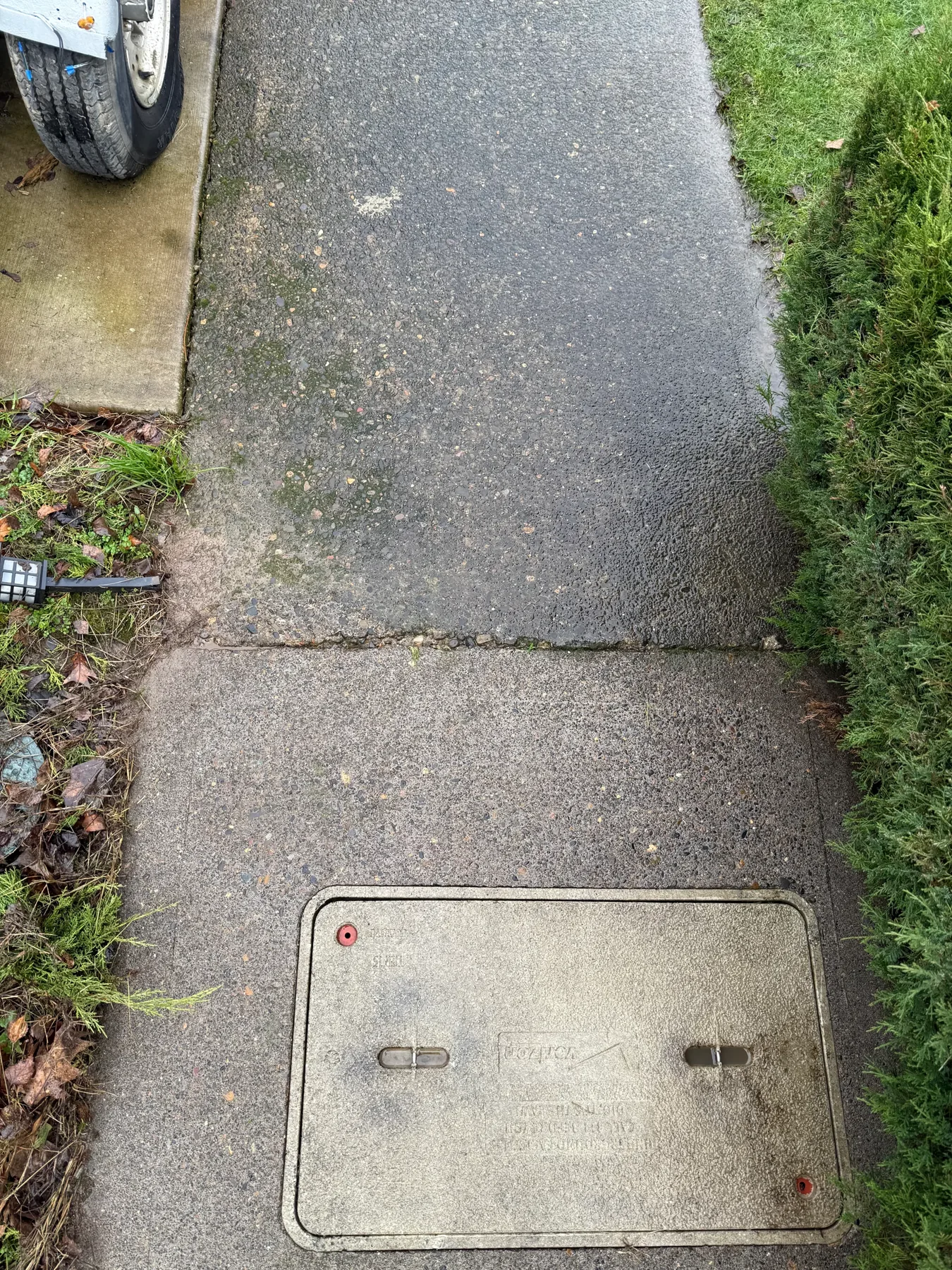 South Beaverton front sidewalk before cleaning with dark mossy concrete near shrubs and utility cover