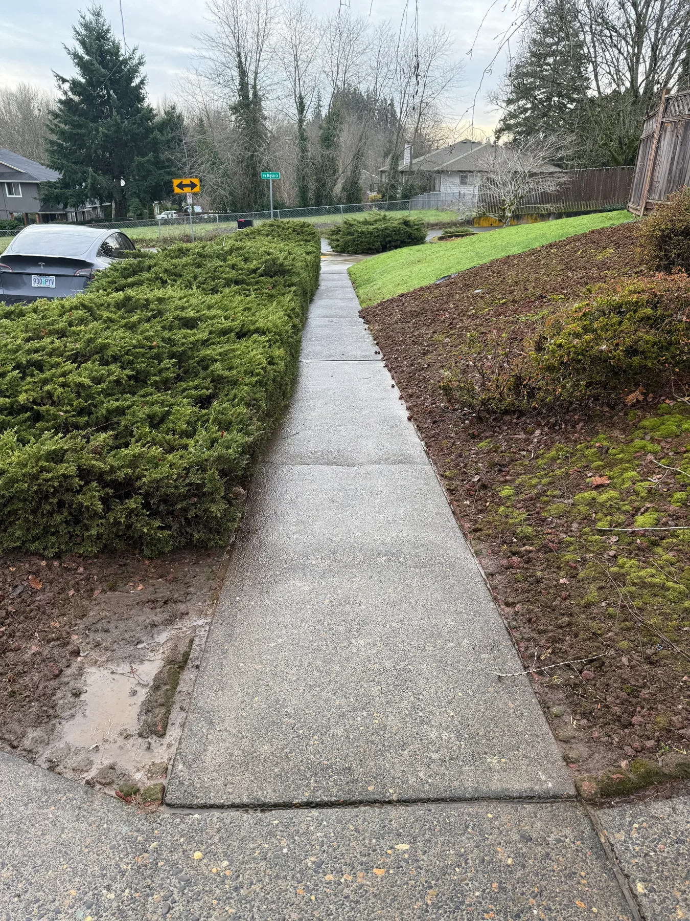 Clean front sidewalk on a sloped South Beaverton property after pressure washing
