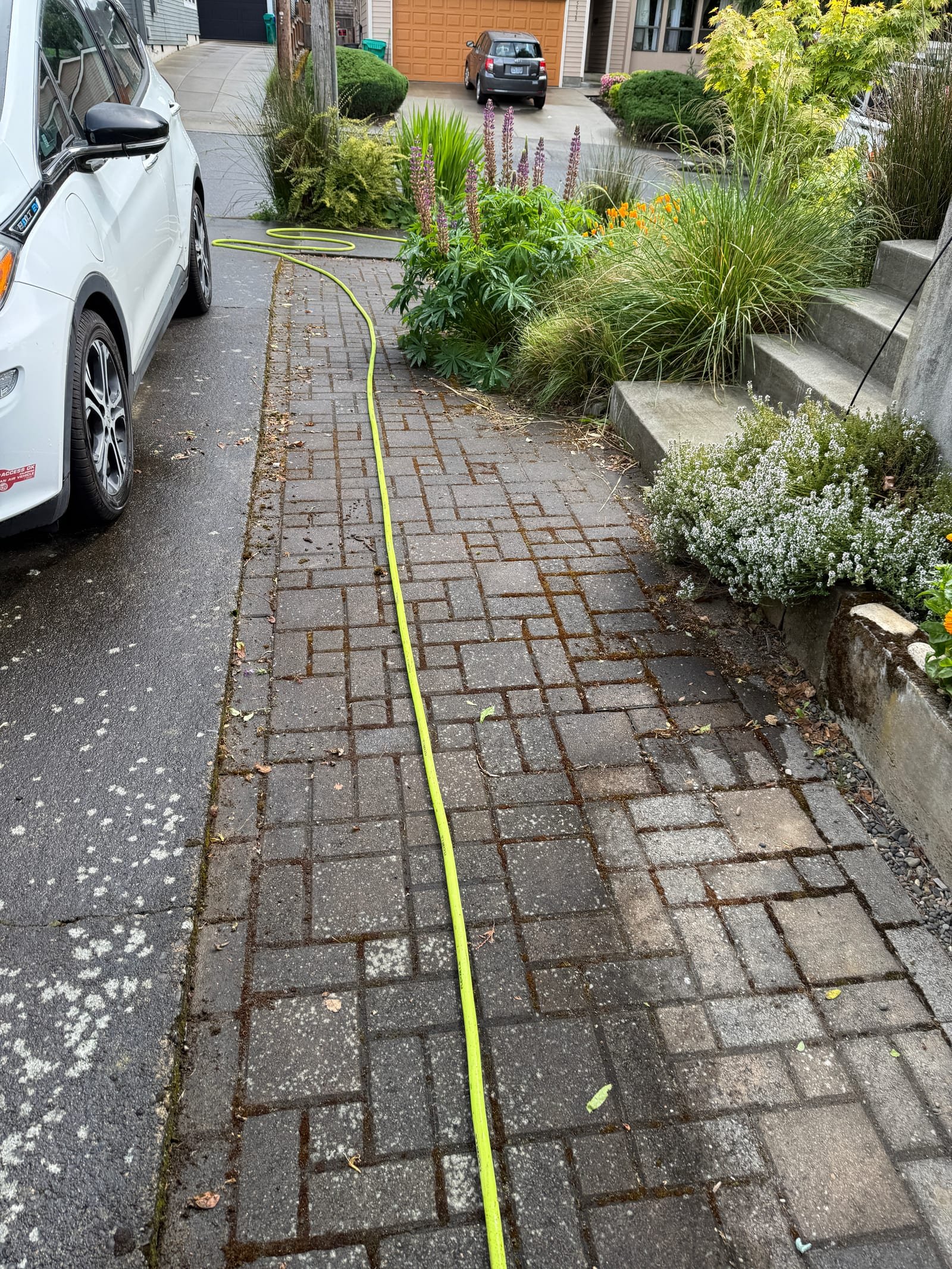 Walkway before cleaning with moss and debris
