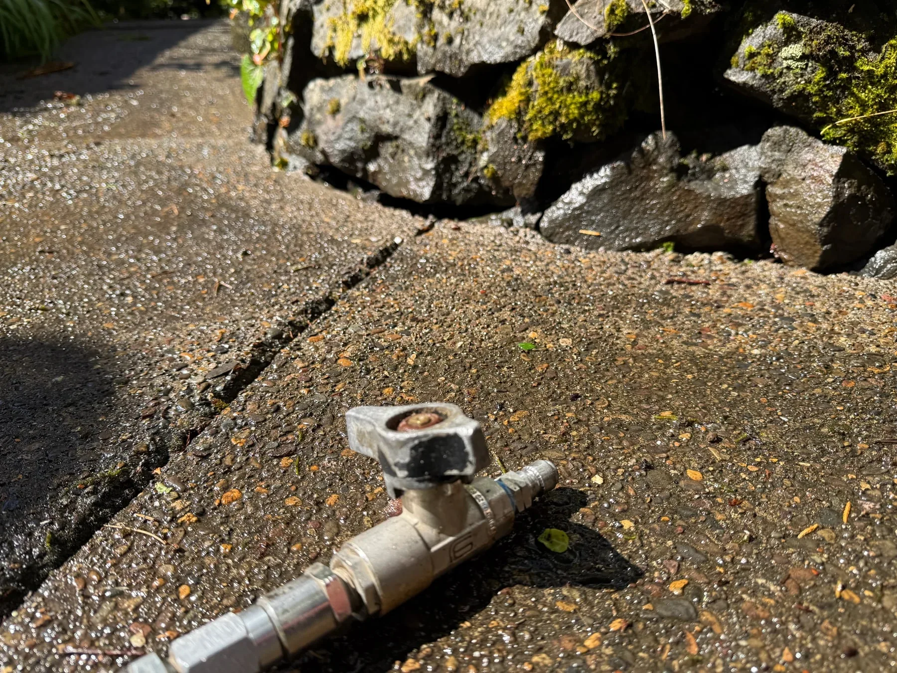 Detail pressure washing along an exposed-aggregate walkway edge beside mossy rock landscaping