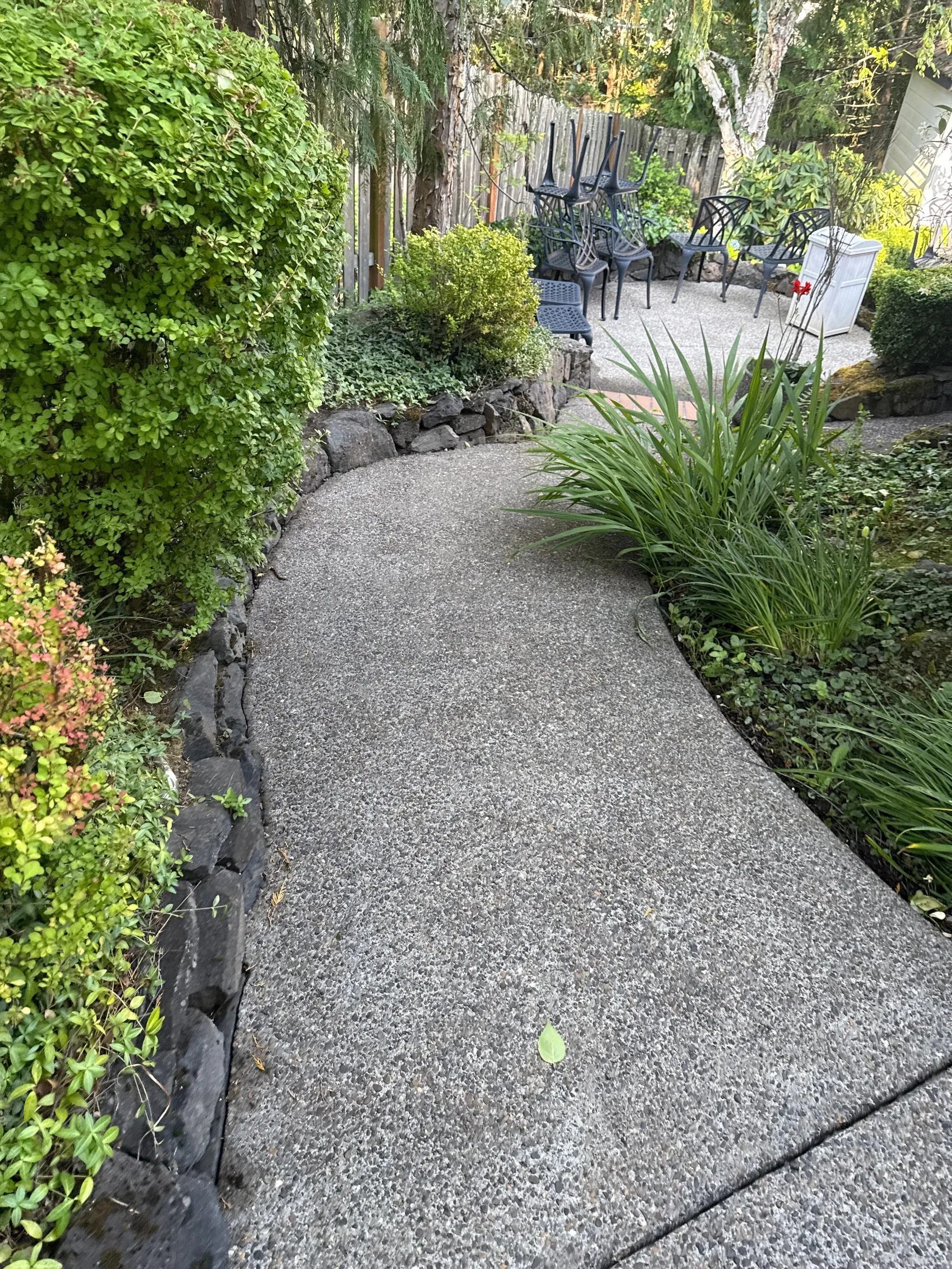 Cleaned curved exposed-aggregate walkway through dense West Beaverton landscaping