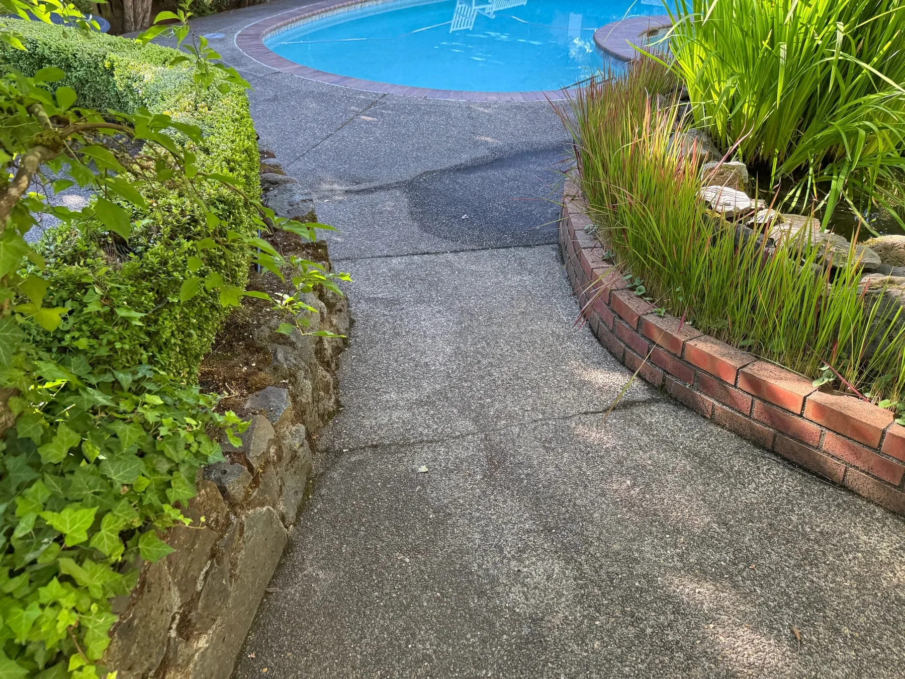 Cleaned poolside concrete walkway between brick edging and dense landscaping
