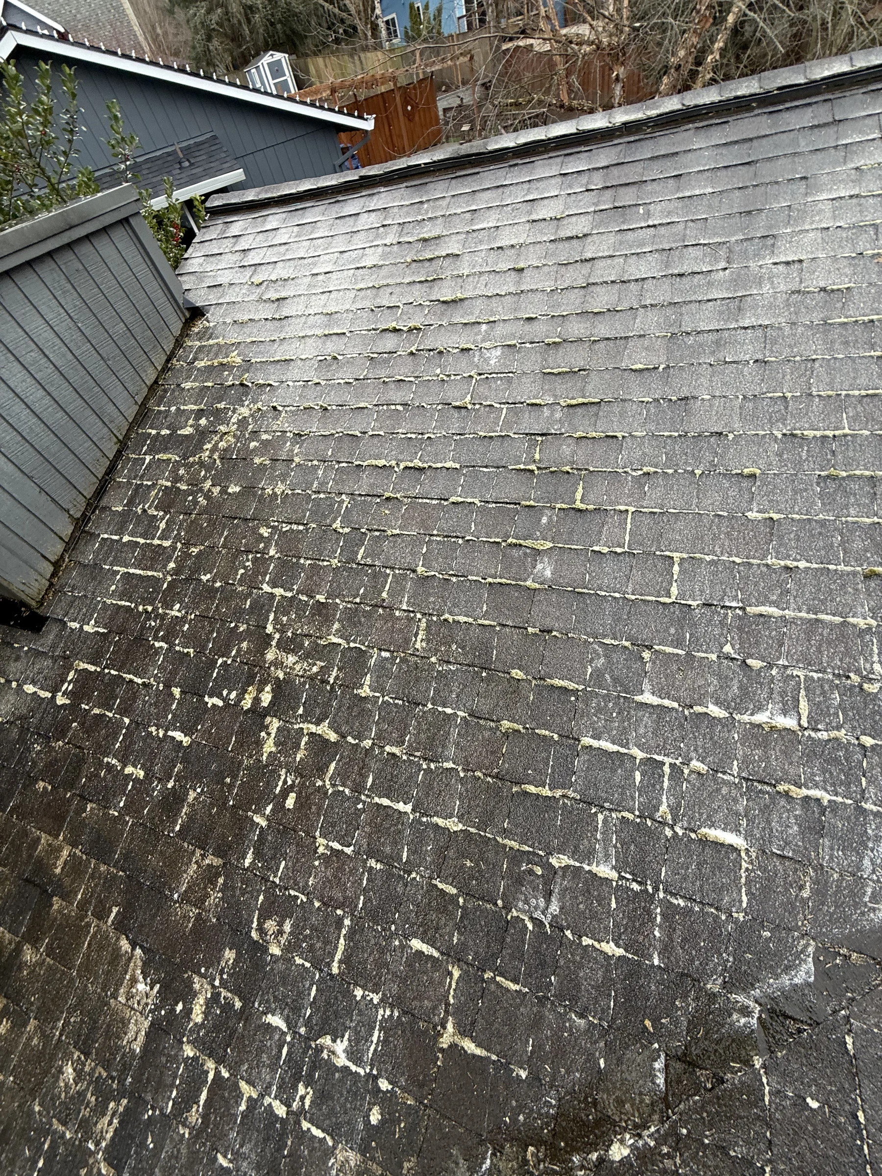Asphalt roof after moss removal and treatment near a chimney in West Beaverton Oregon