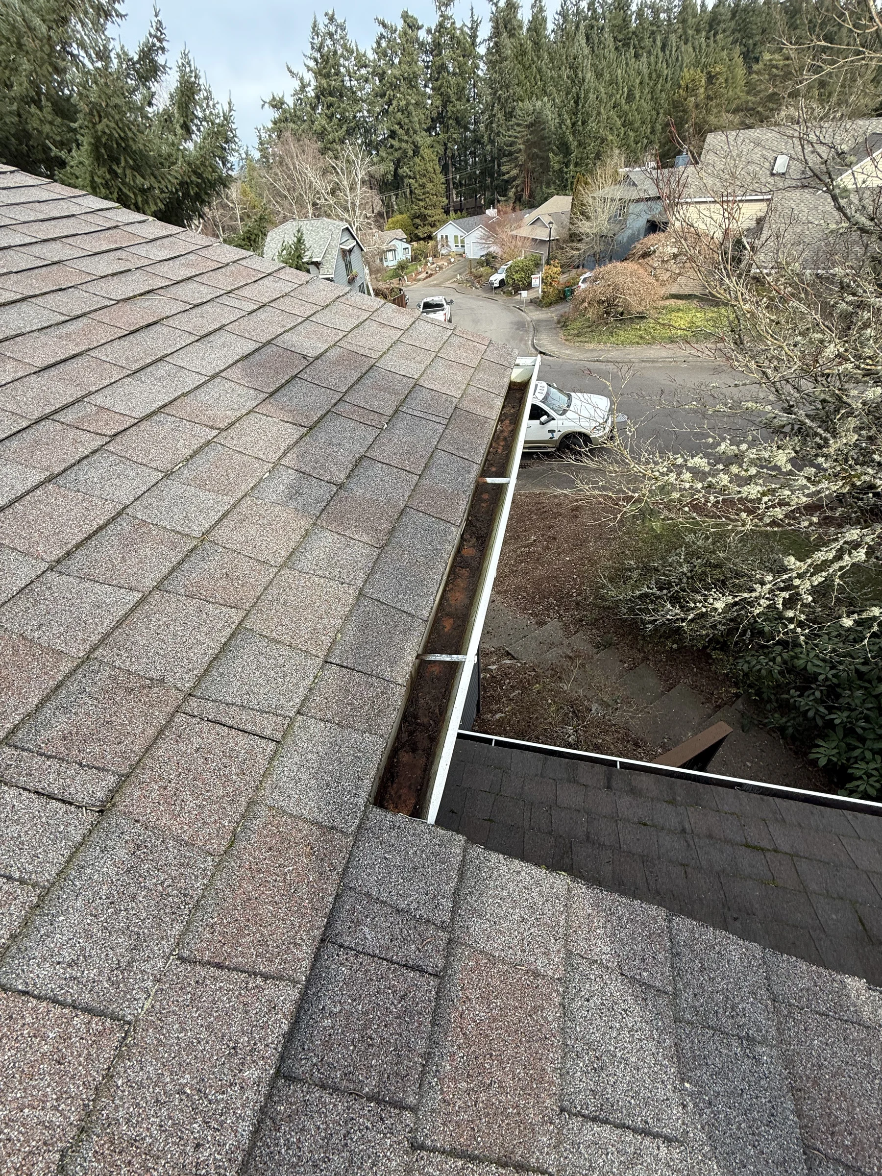 West Beaverton roof edge and gutters on a sloped tree-covered property before cleaning