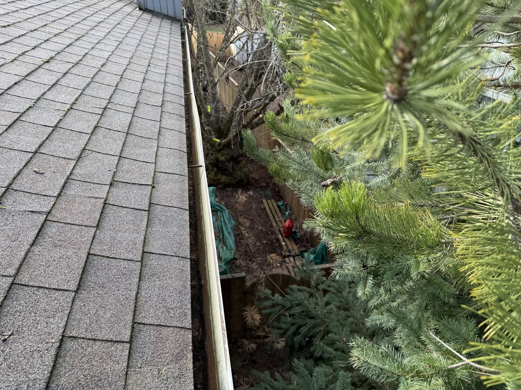 Roof cleaning setup near overhanging evergreen branches and protected landscaping in Beaverton Oregon