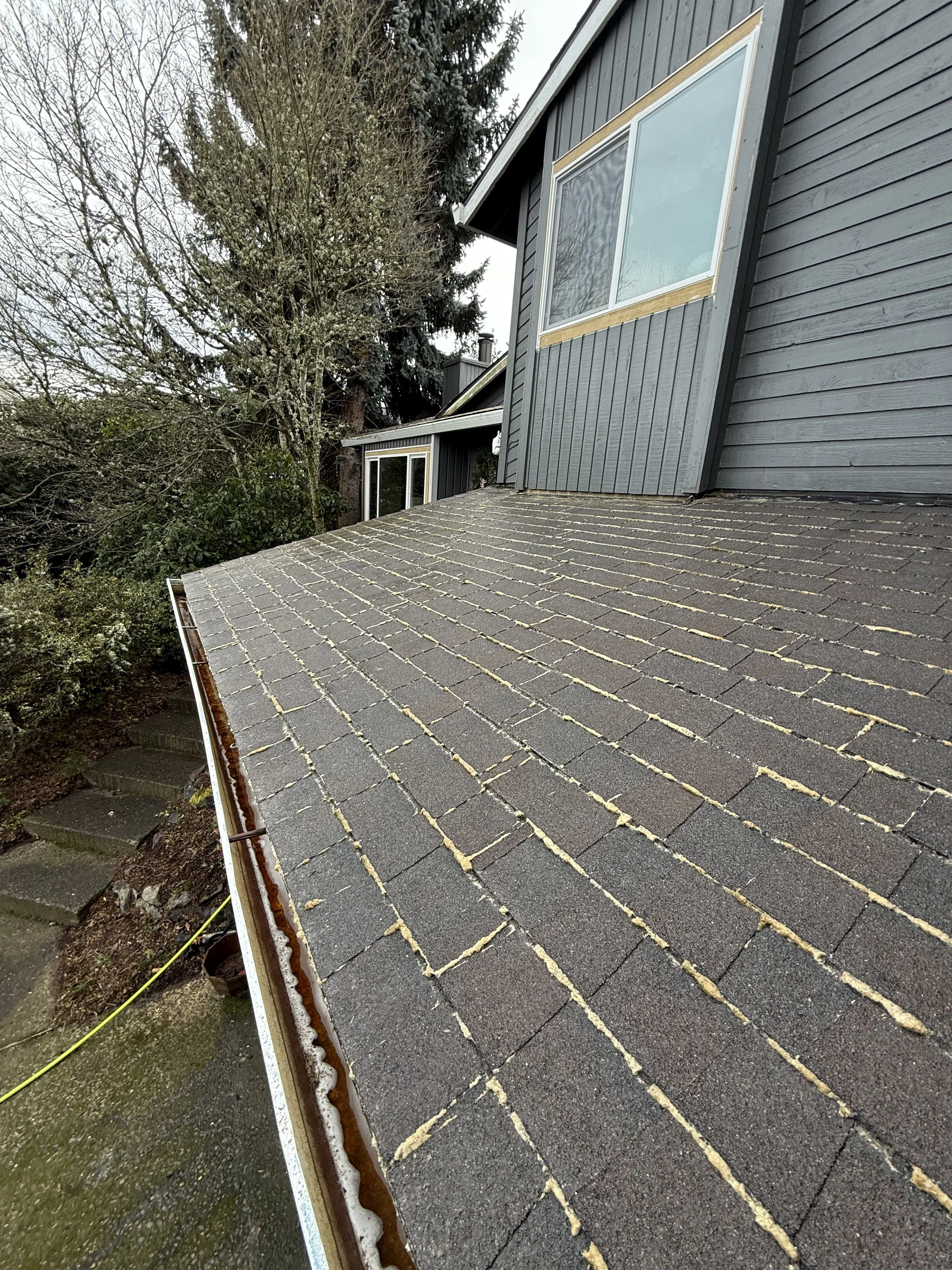 Roof treatment along a gutter edge after moss cleaning in West Beaverton Oregon