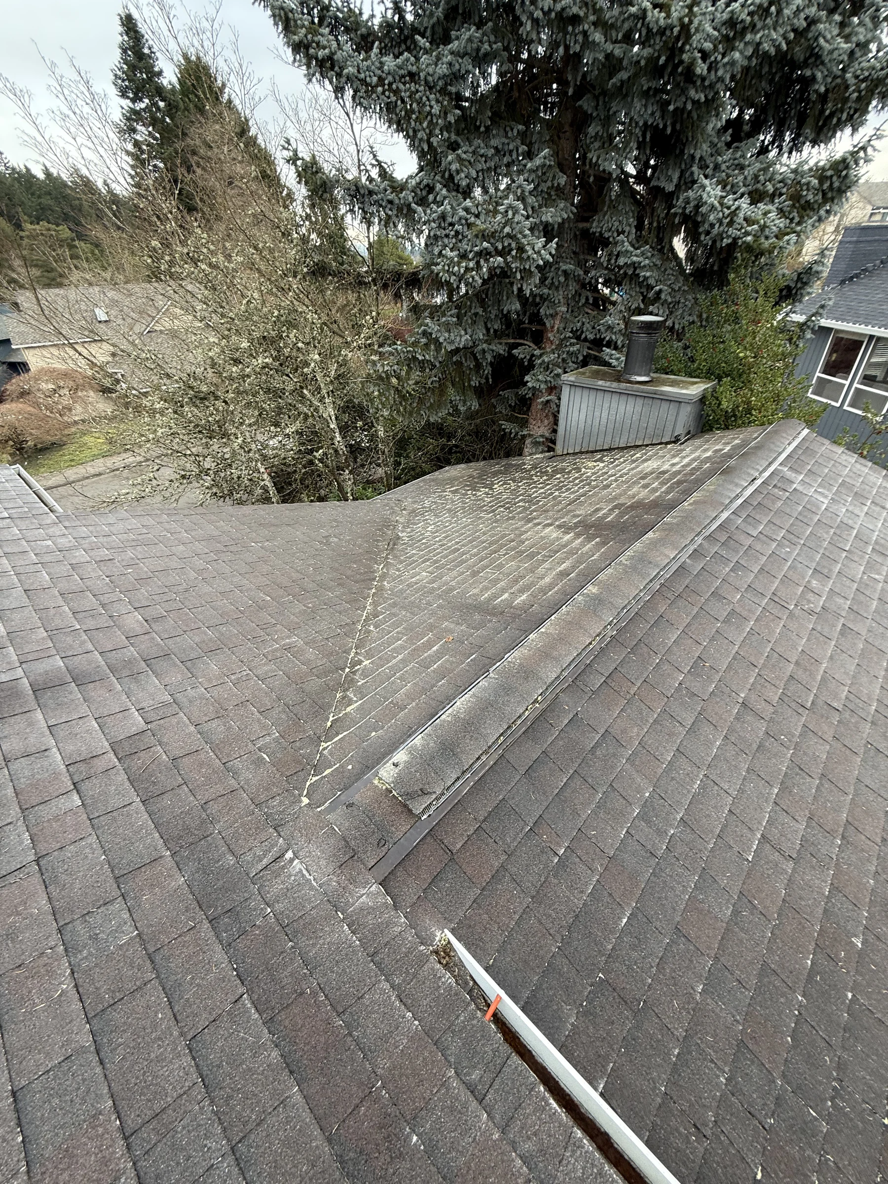 Roof valley and treated asphalt shingles near mature tree cover in West Beaverton Oregon
